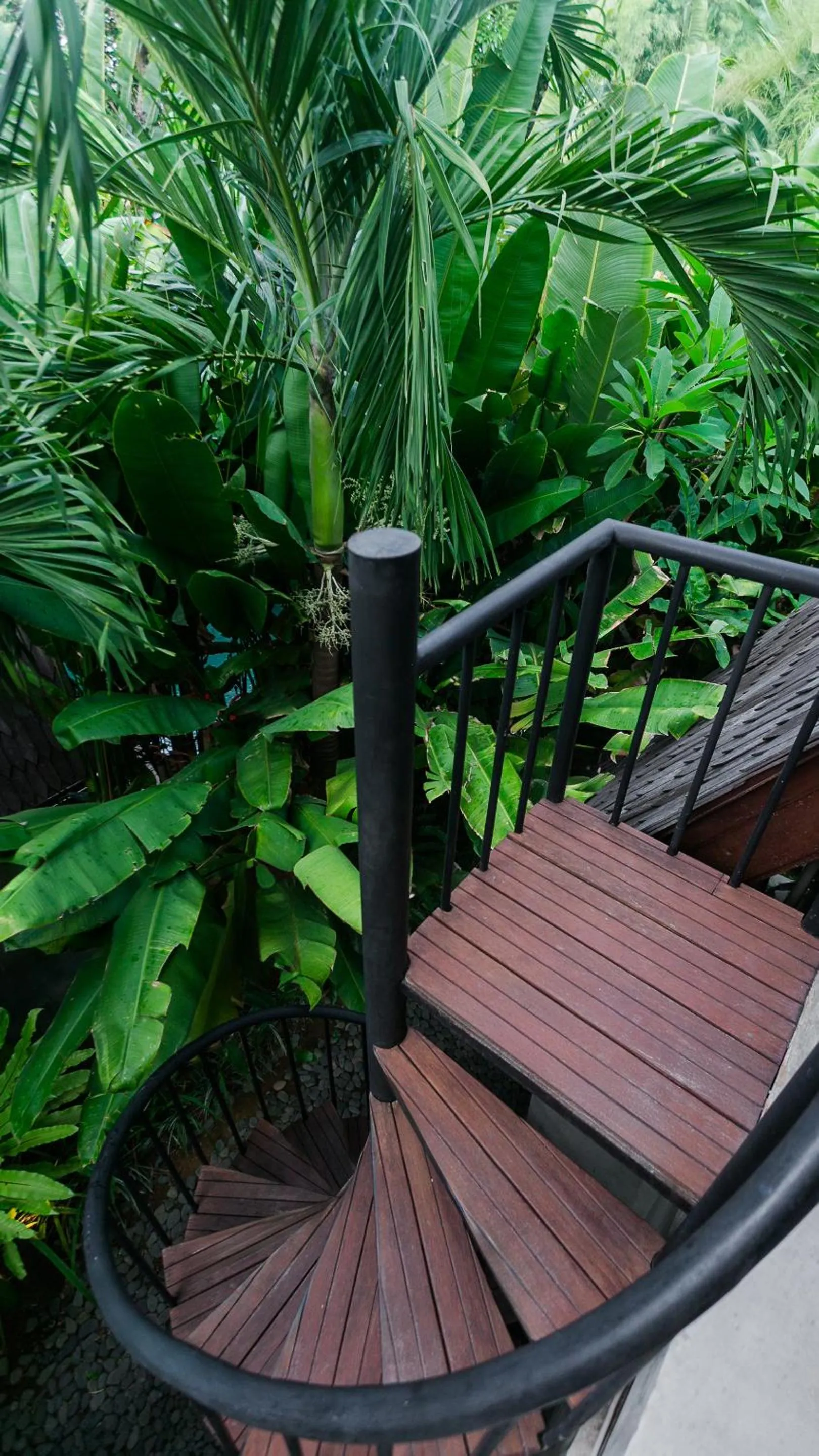 Day in Kalino Villa by Betterplace