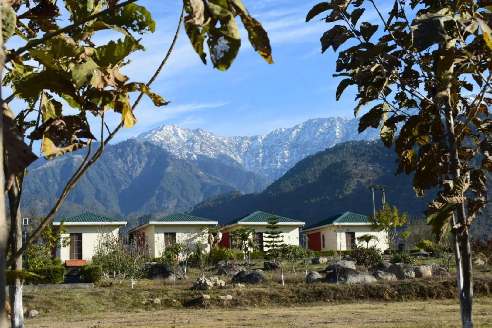 Dhauladhar View Village Resort Dhauladhar View Village Resort