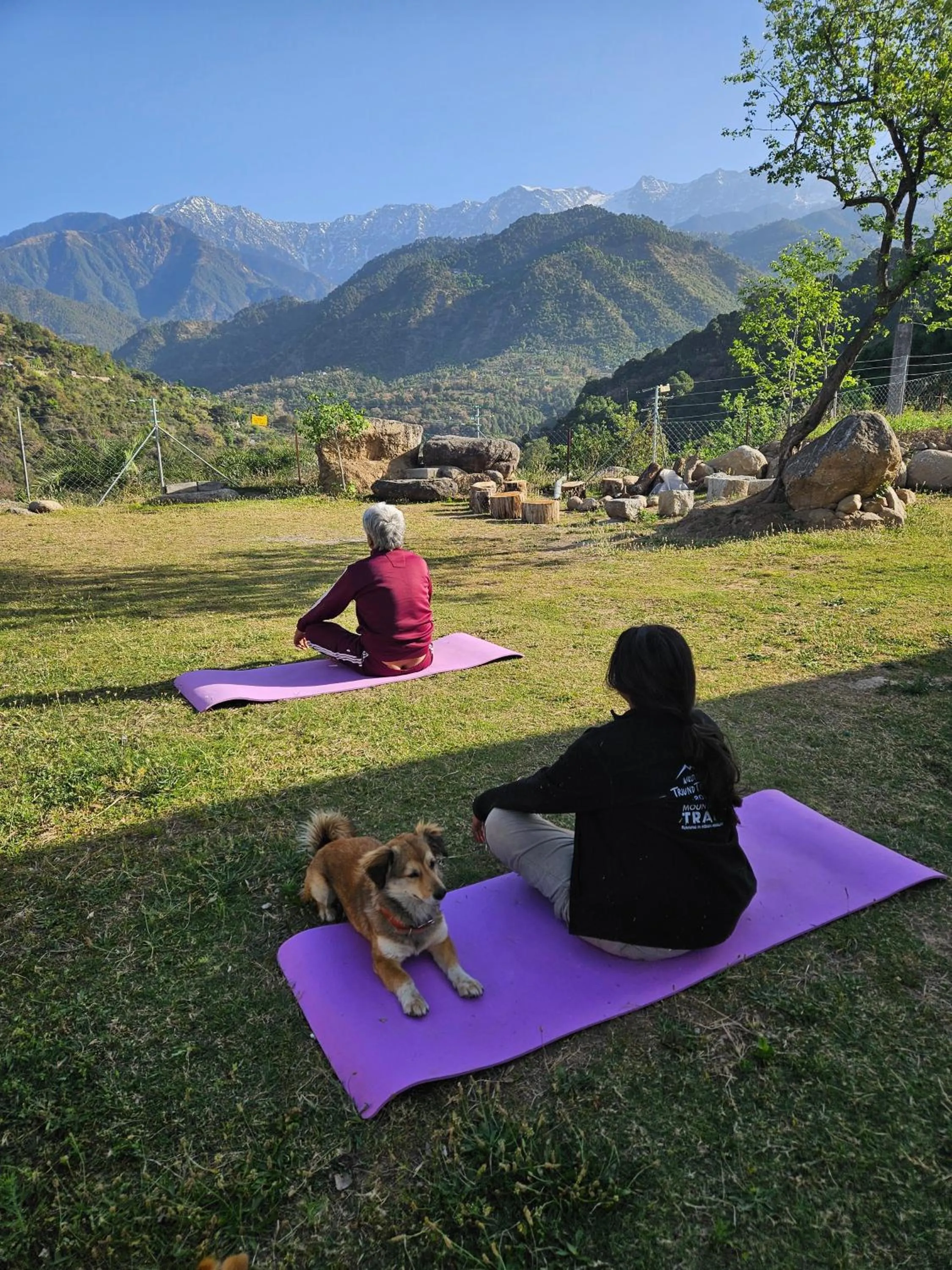 People in Dhauladhar View Village Resort