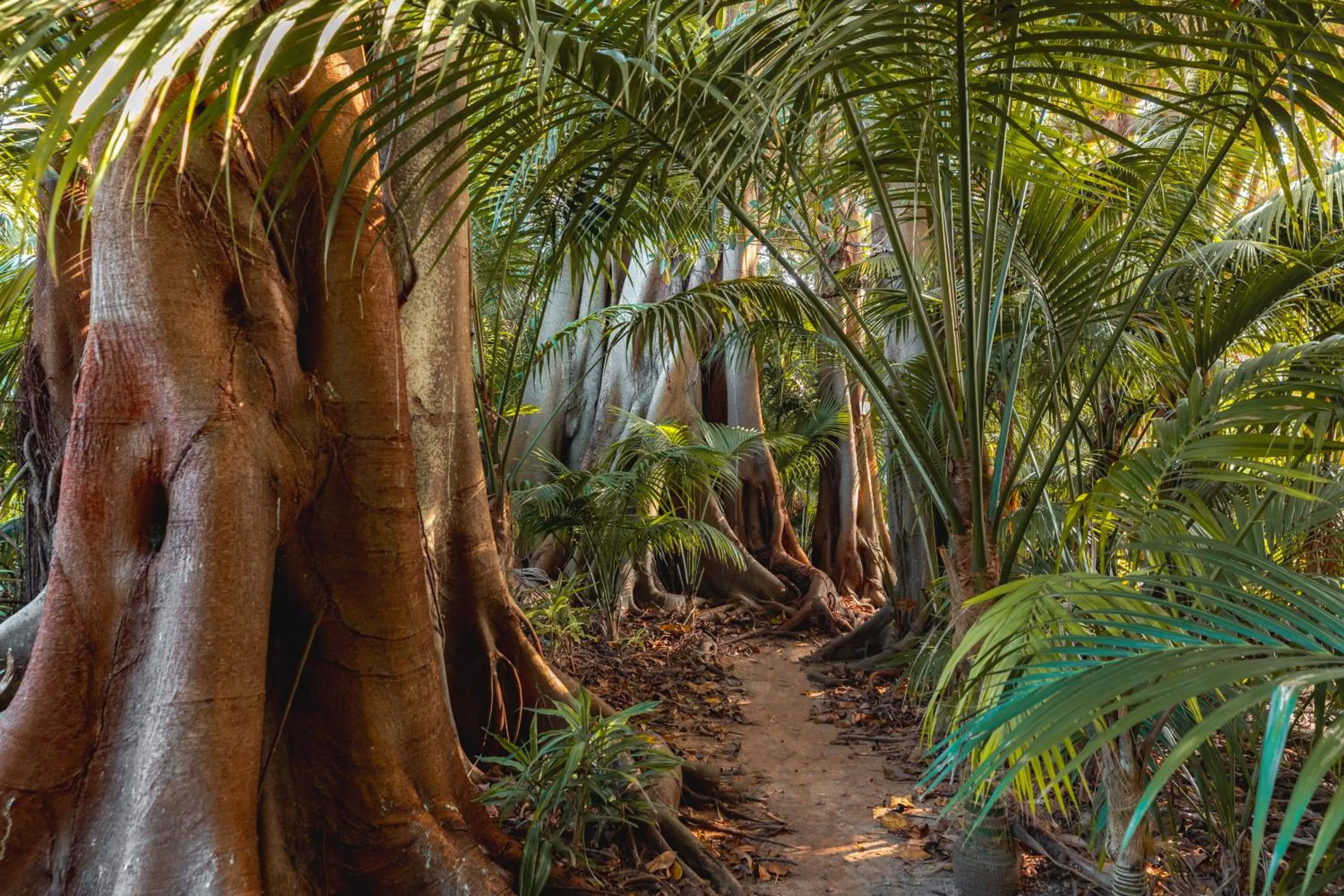 Other in Lorhiti Apartments