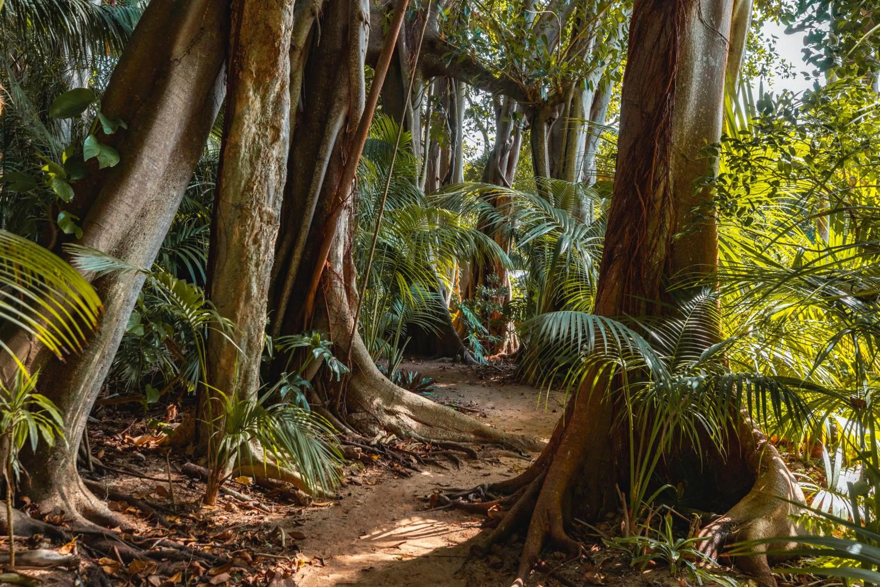 Other in Lorhiti Apartments