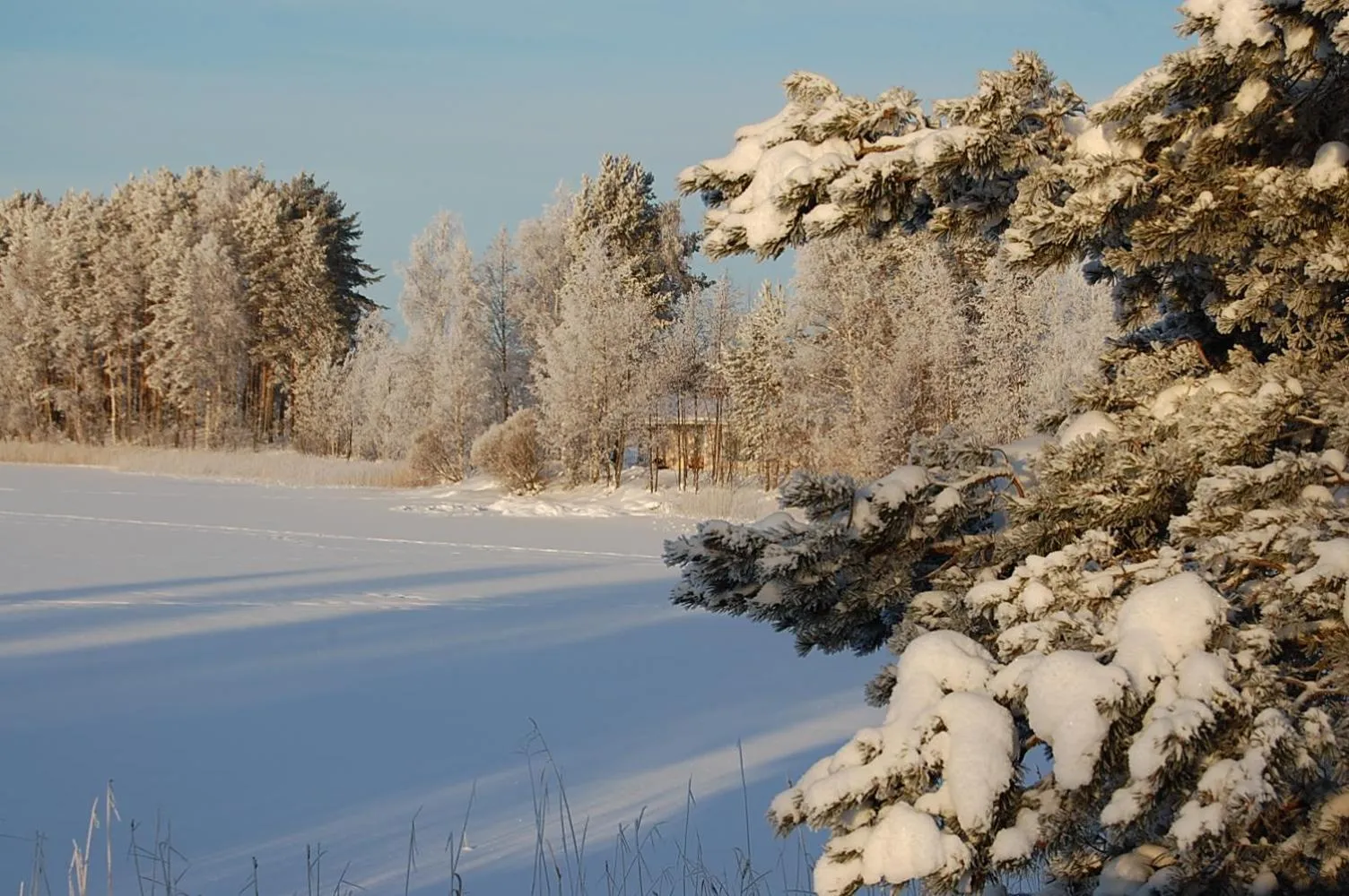 Natural landscape in Lomasaaret Cottages