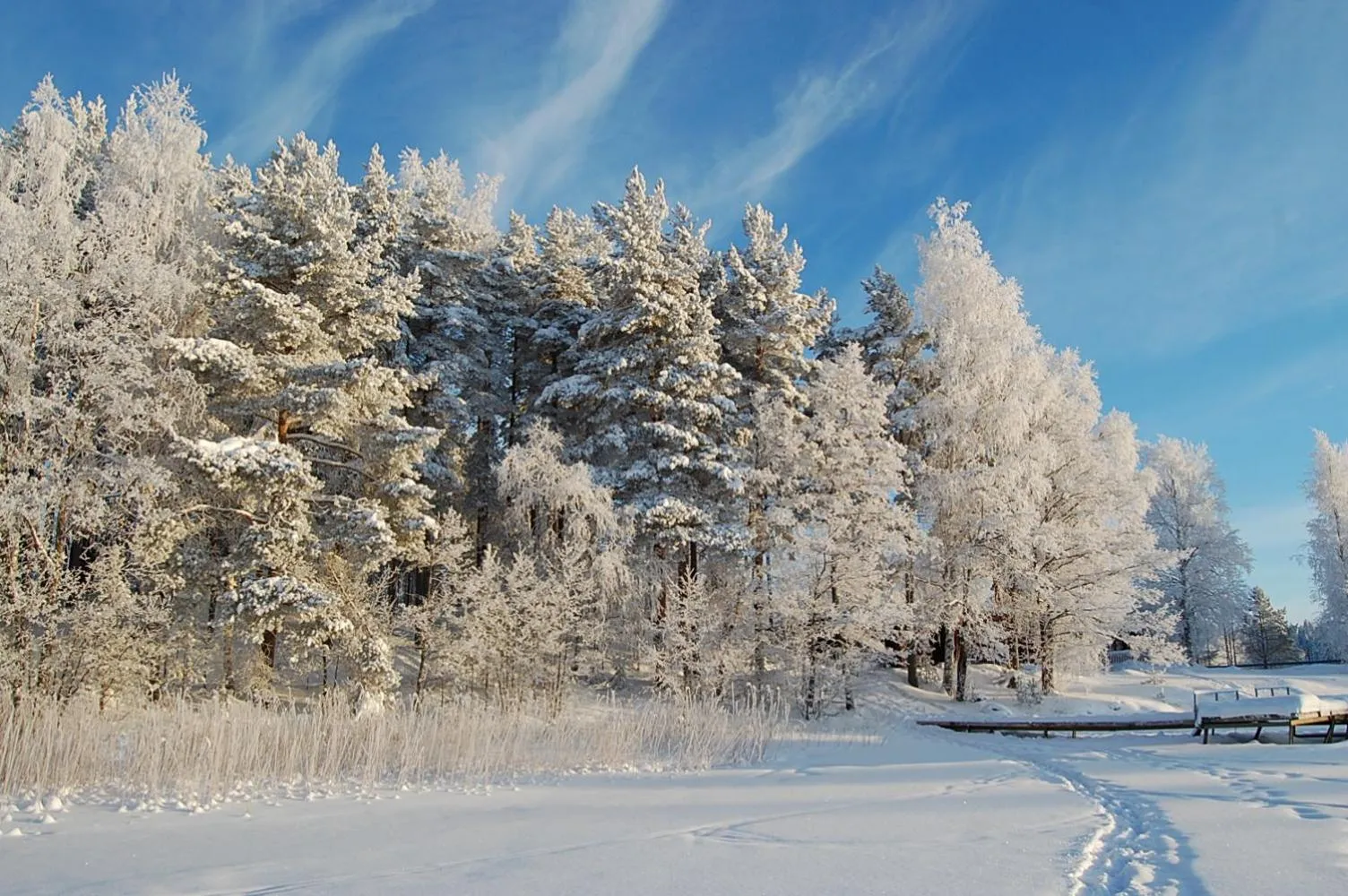 Day in Lomasaaret Cottages