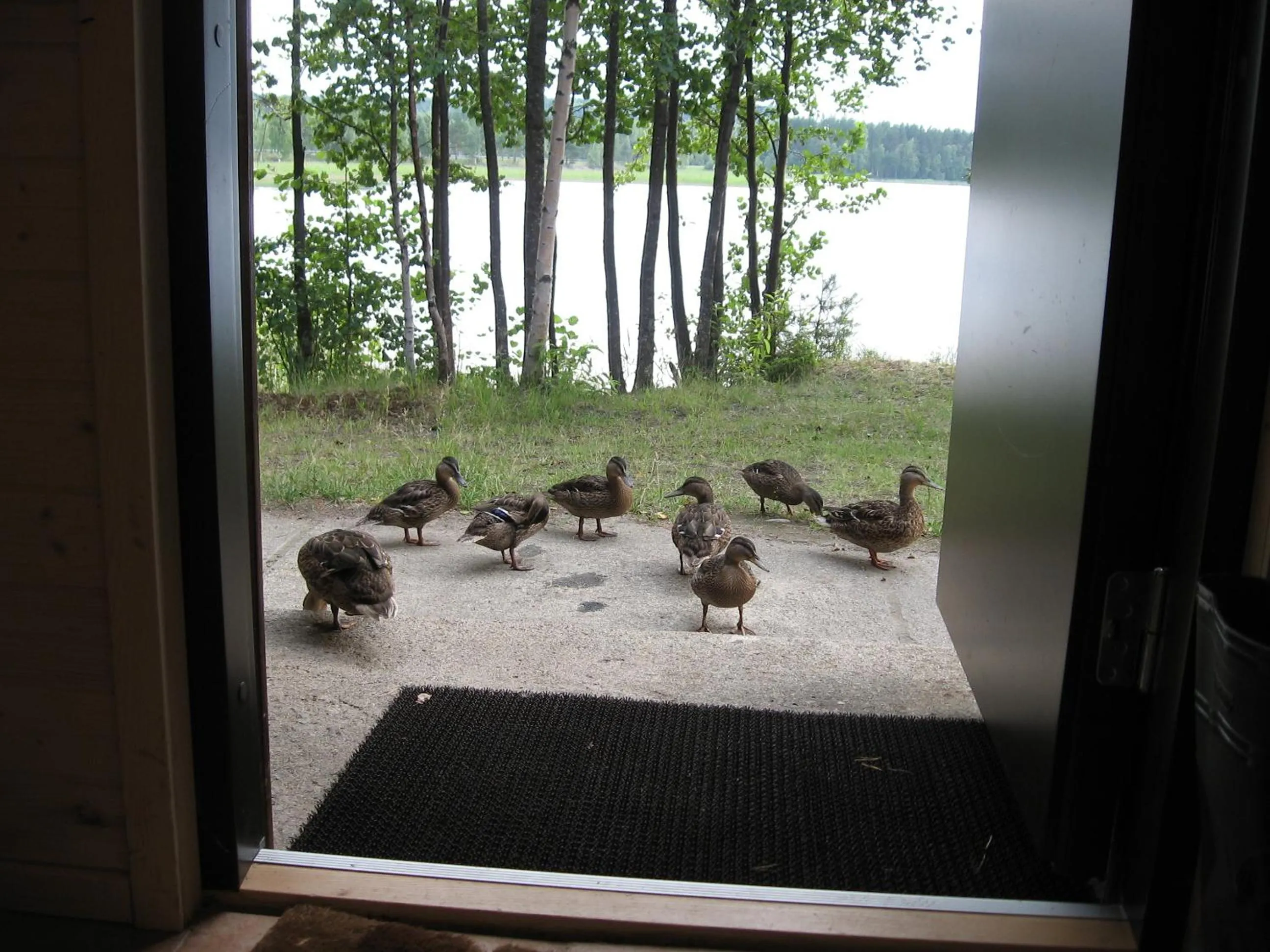 Facade/entrance in Lomasaaret Cottages