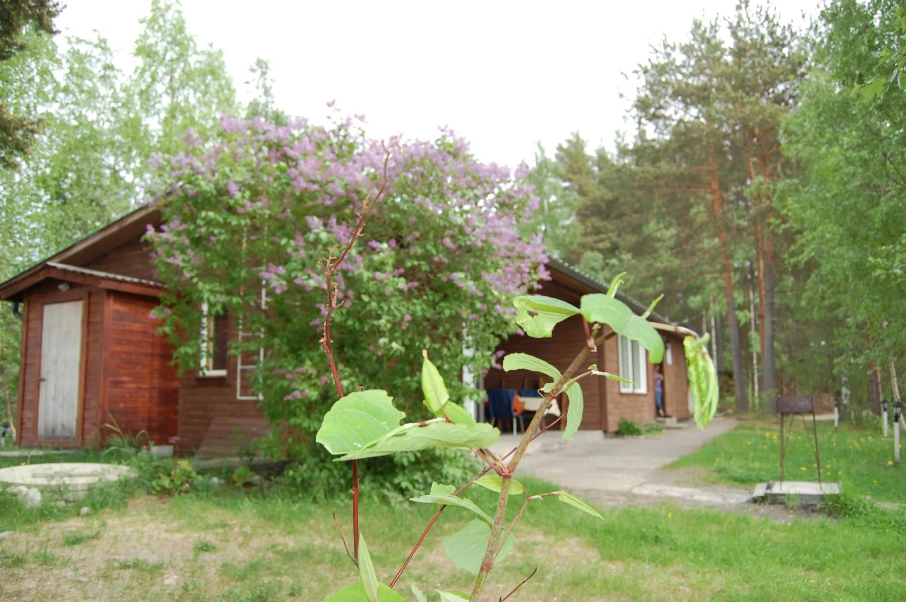 Facade/entrance in Lomasaaret Cottages