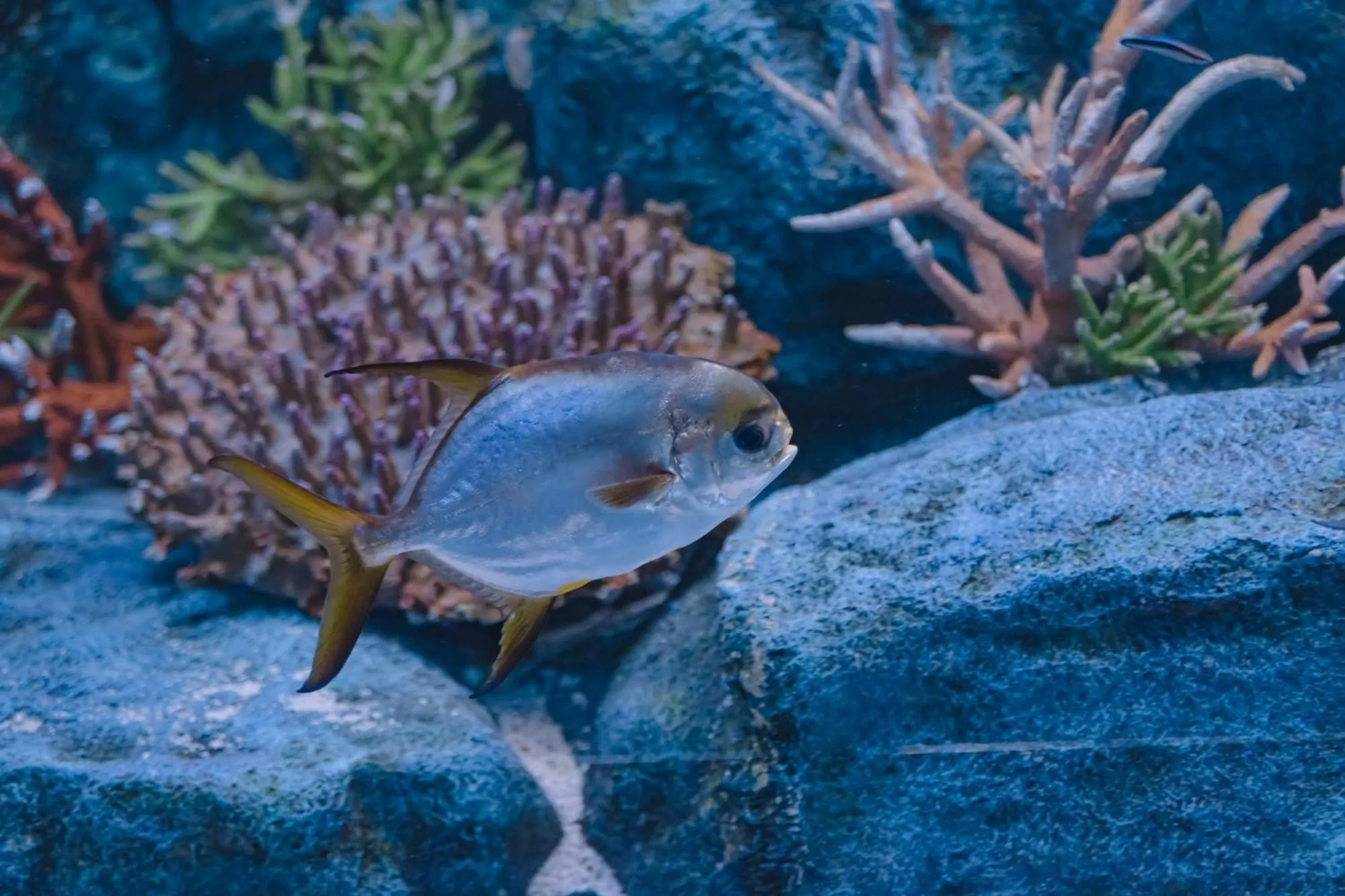 Nearby landmark in Anika boutique - อัณณิกา บูทีค