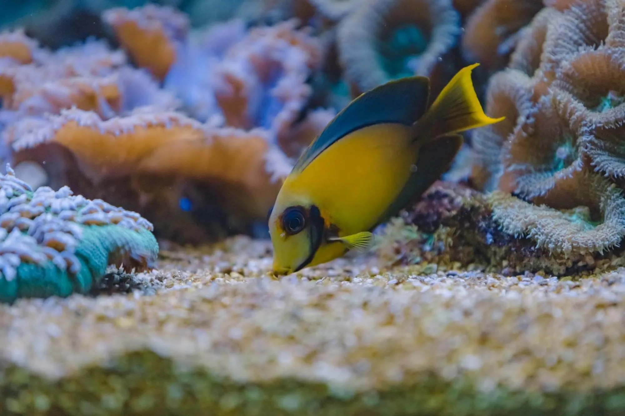 Nearby landmark in Anika boutique - อัณณิกา บูทีค