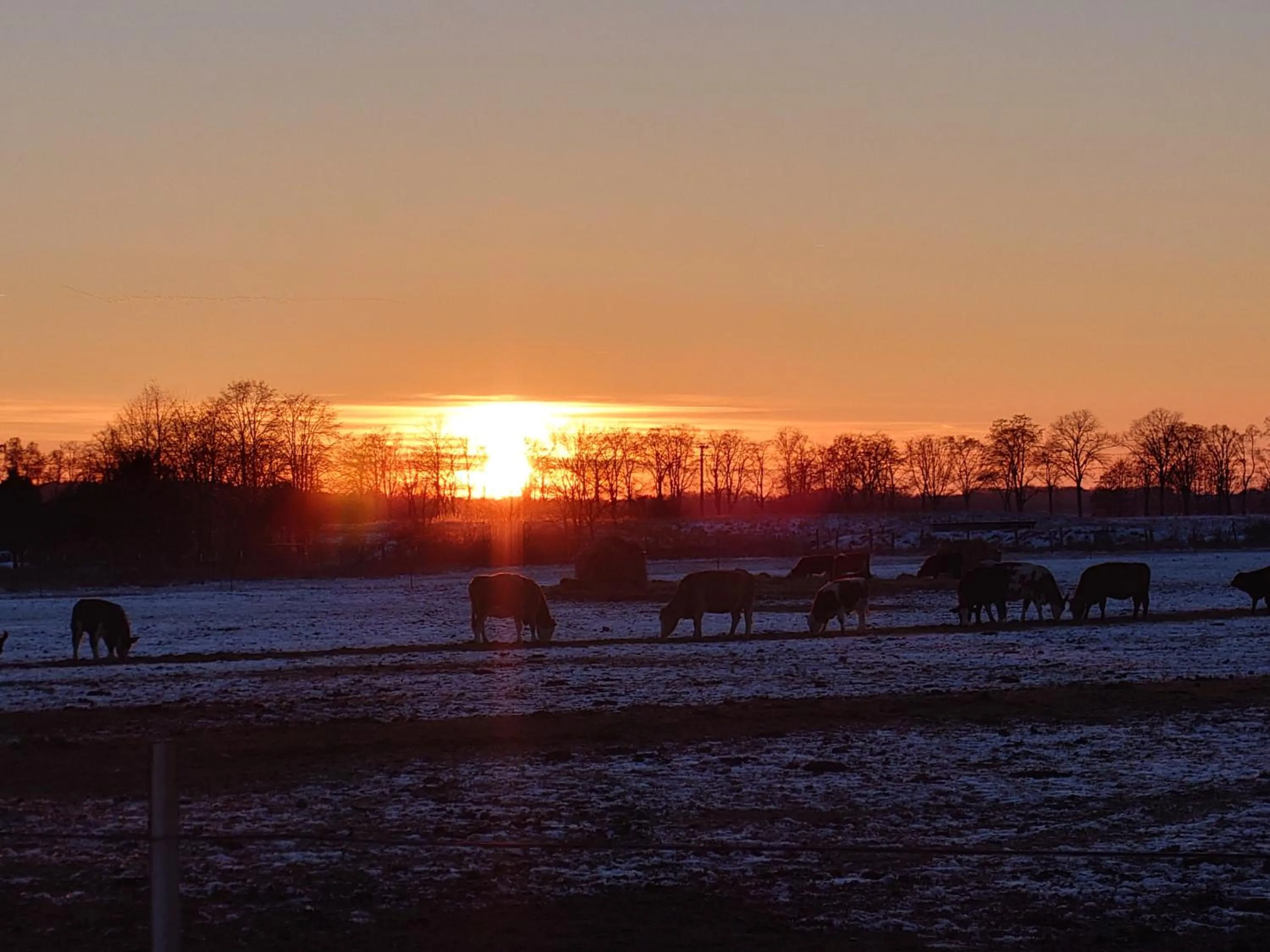 Natural landscape in Hotel Schützenhaus Lenzen