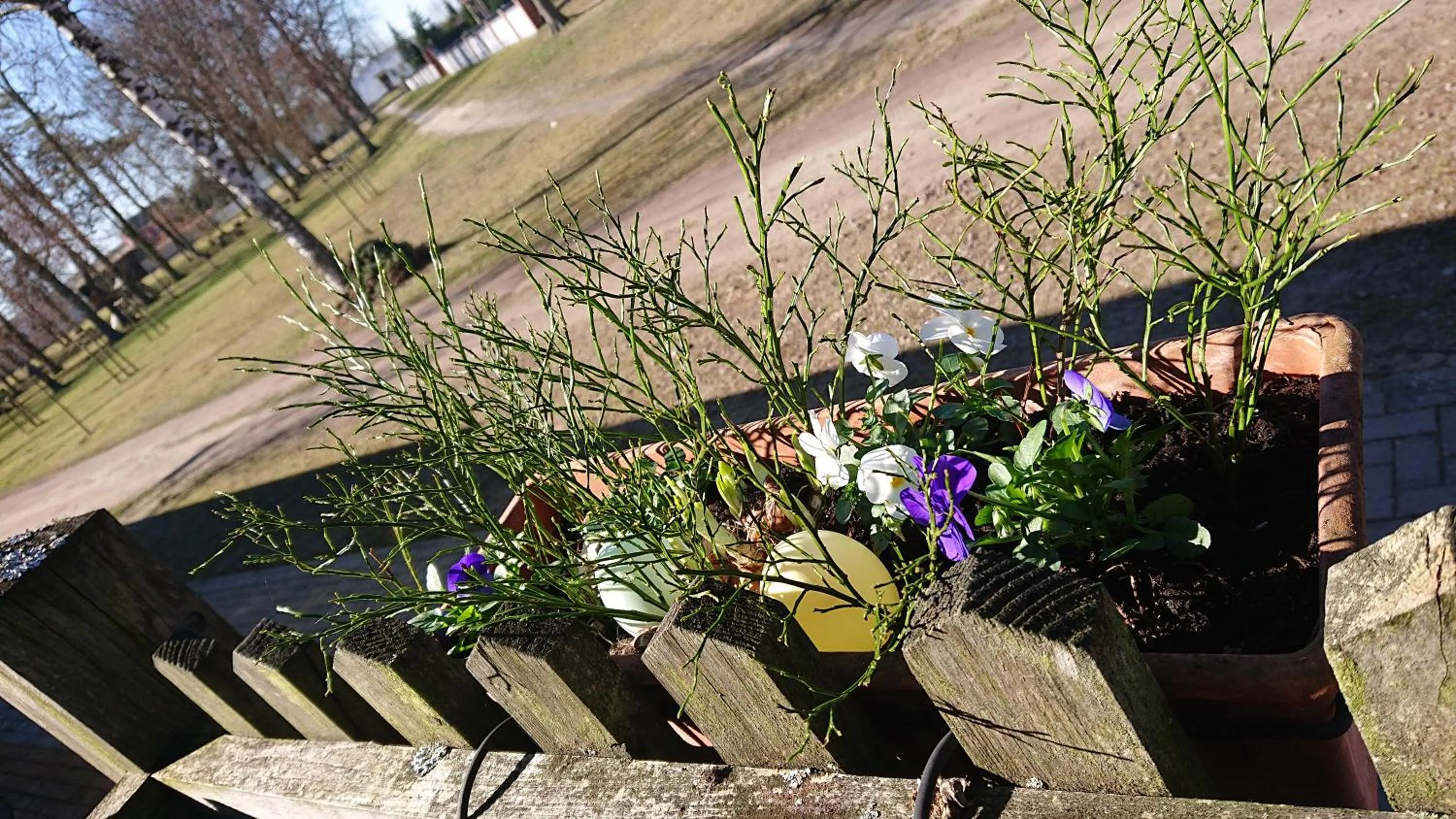 Spring in Hotel Schützenhaus Lenzen
