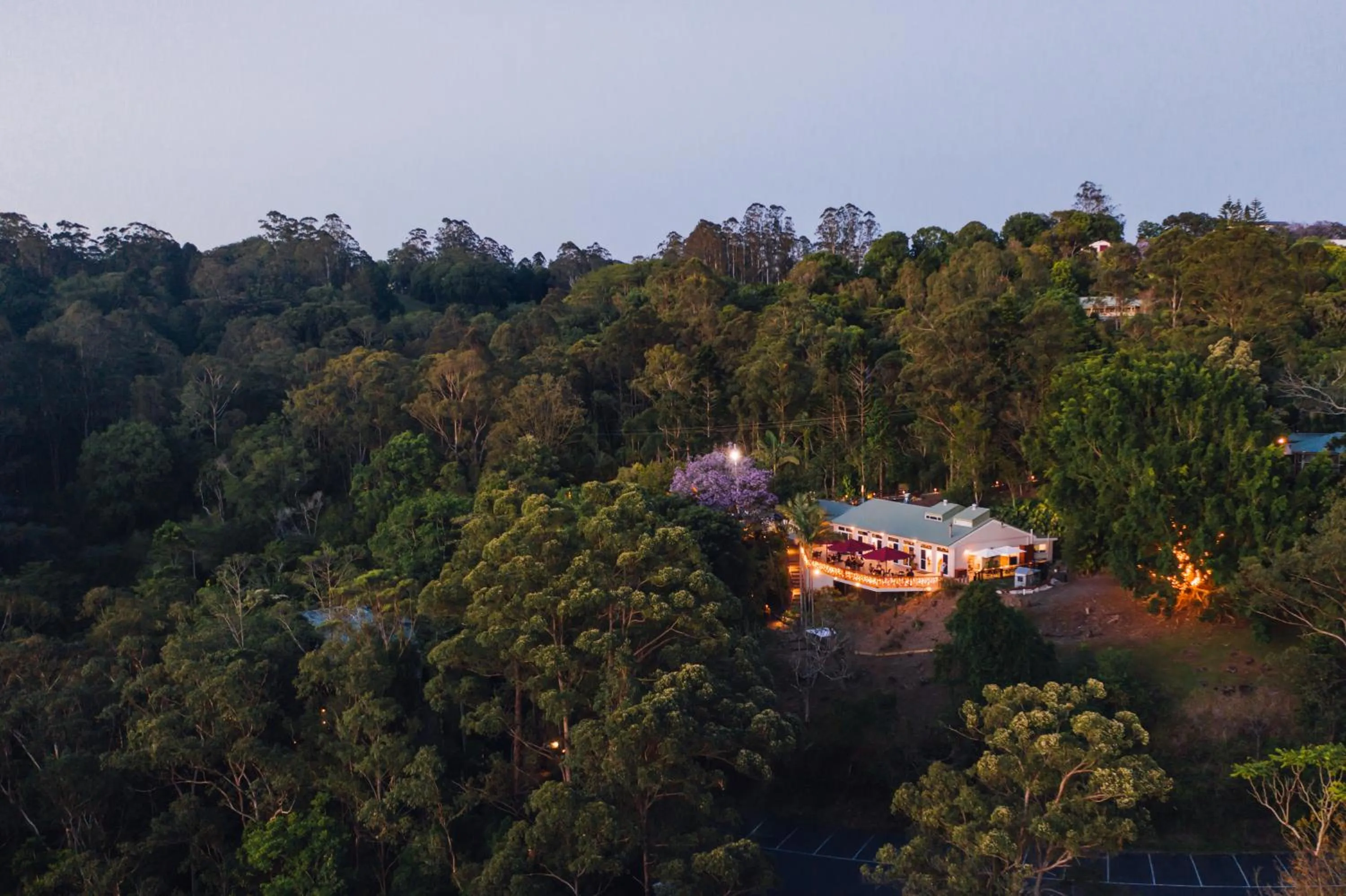 Restaurant/places to eat in Kondalilla Eco Resort