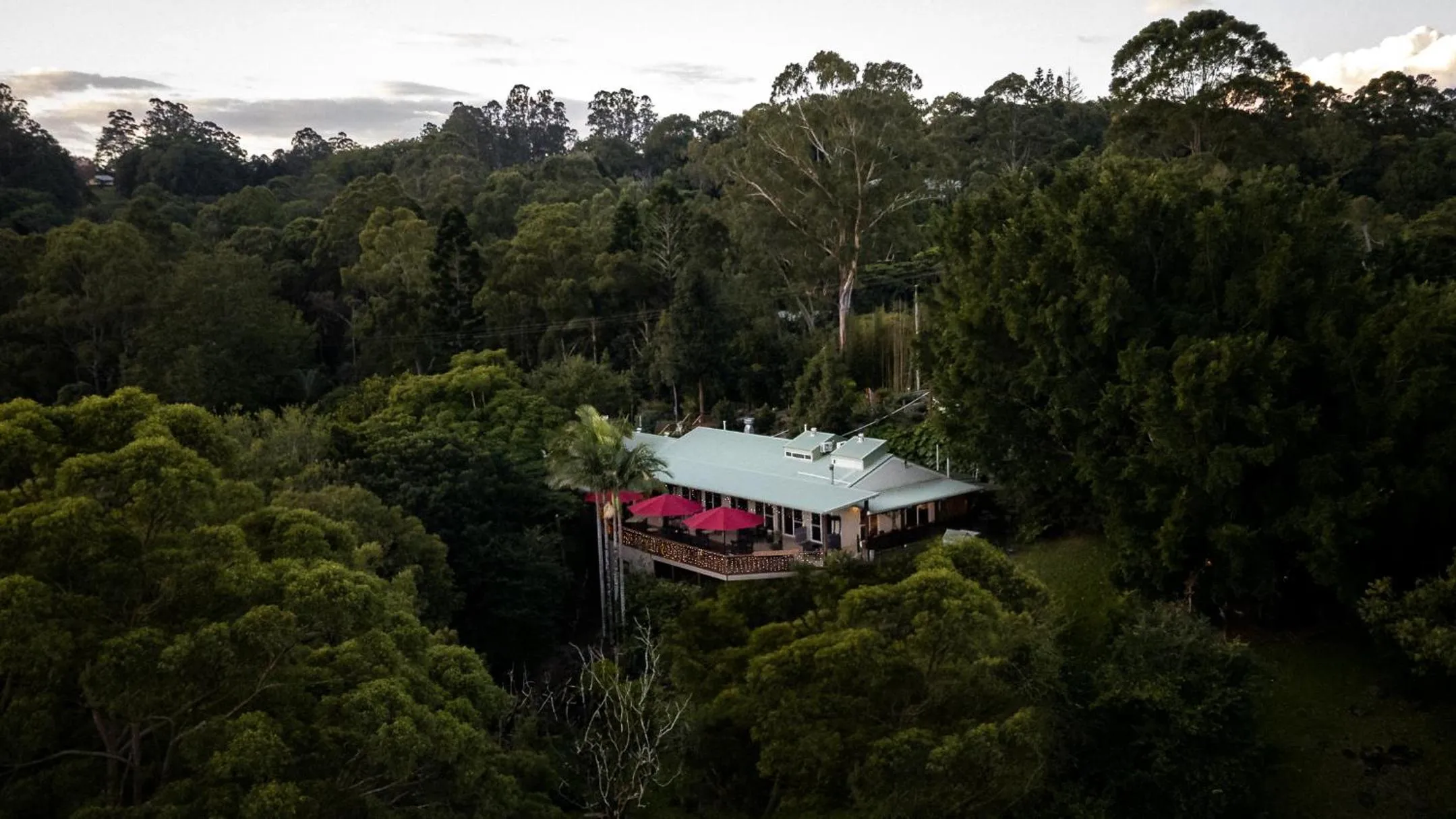 Restaurant/places to eat in Kondalilla Eco Resort