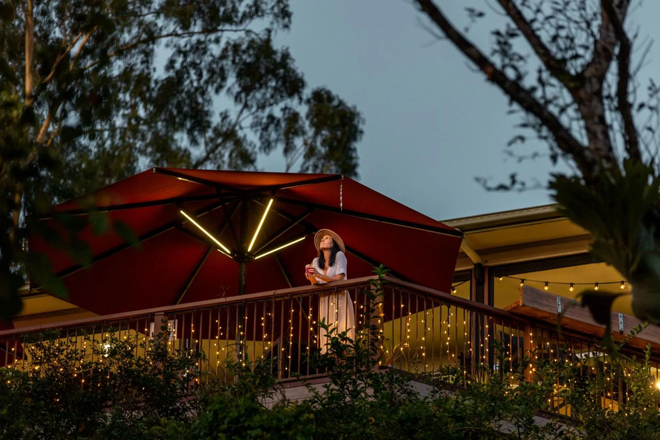 Restaurant/places to eat in Kondalilla Eco Resort