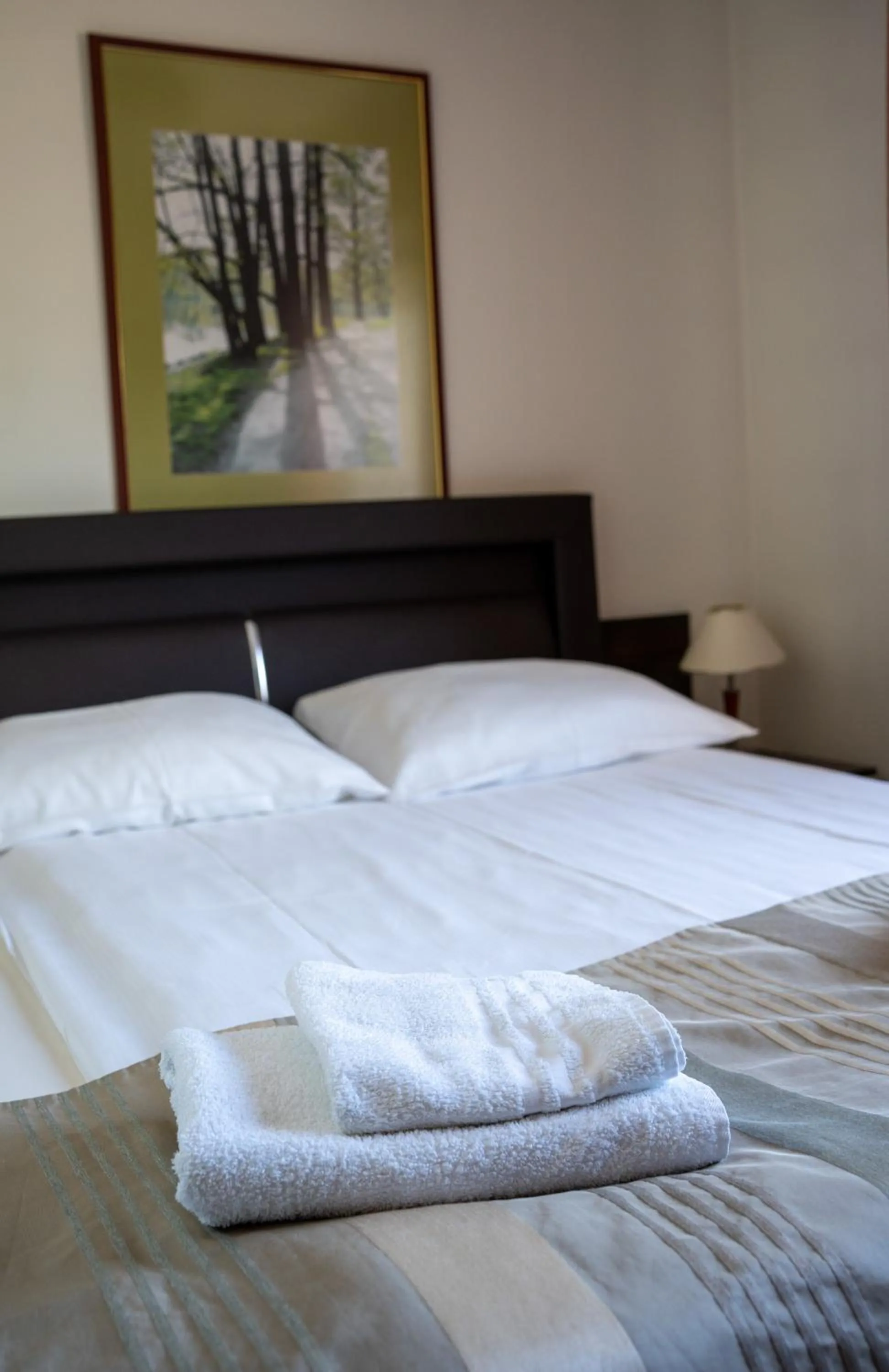 Bed in Aparthotel Strefa Premium