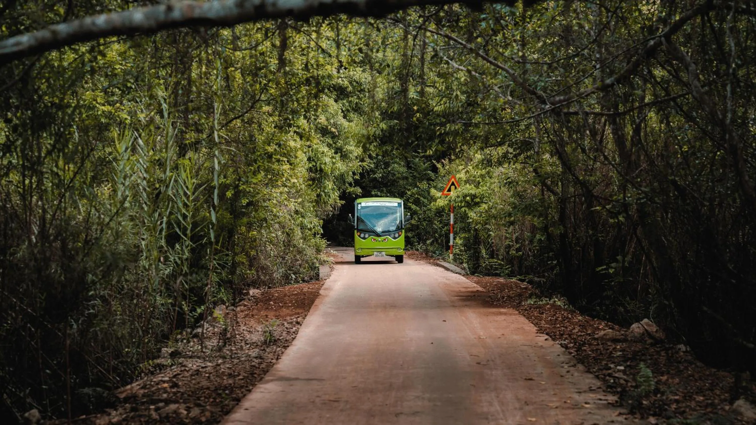 Activities in Ambassador Signature Cruise - Lan Ha Bay
