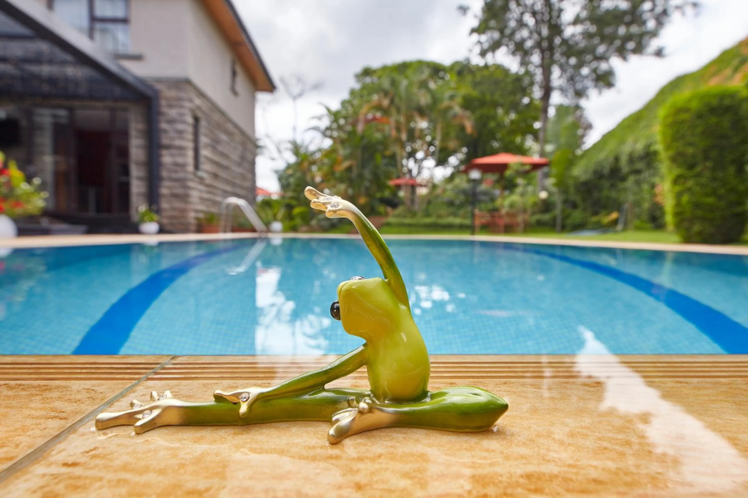 Swimming pool in Deerpark Luxury Stays