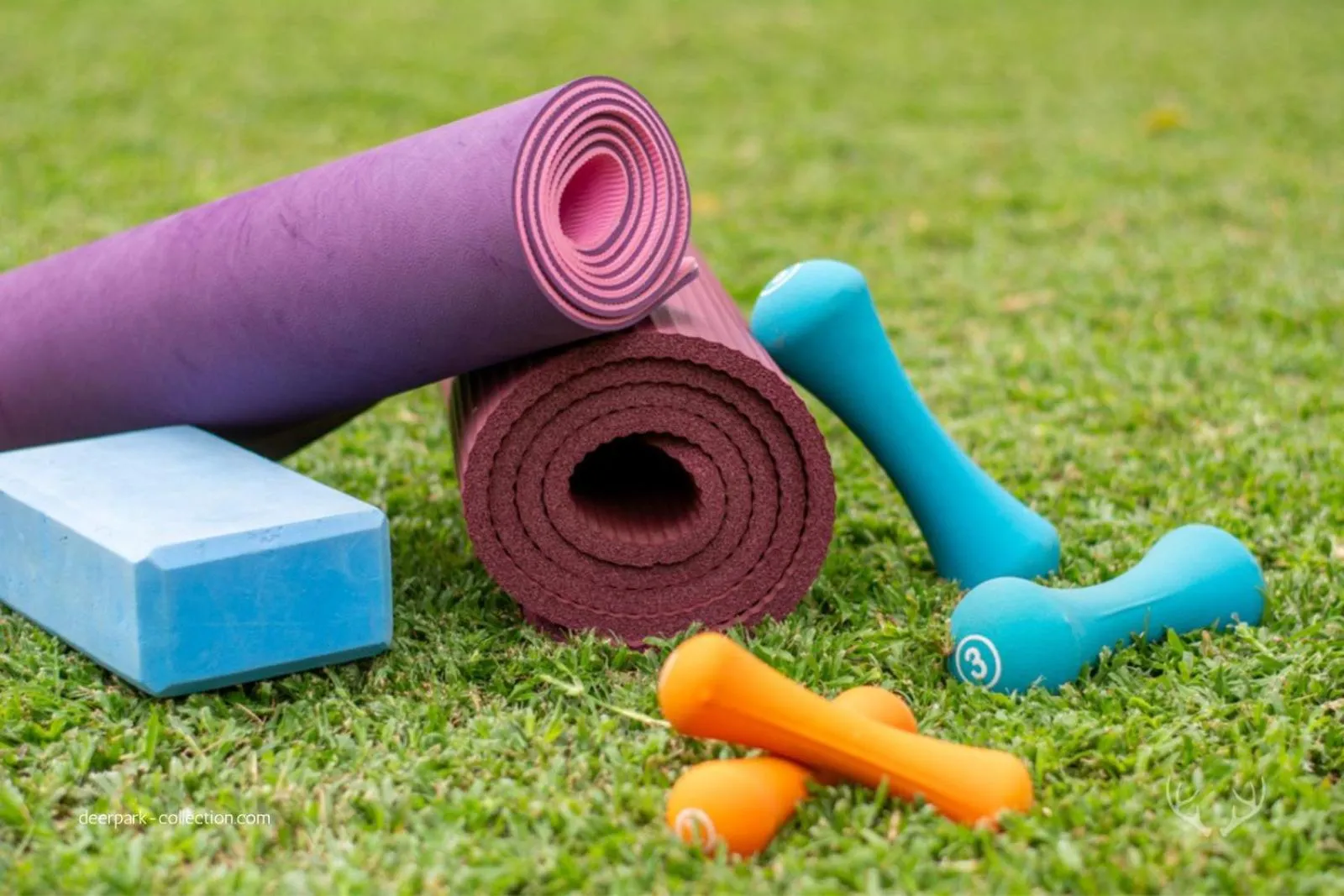 Fitness centre/facilities in Deerpark Luxury Stays