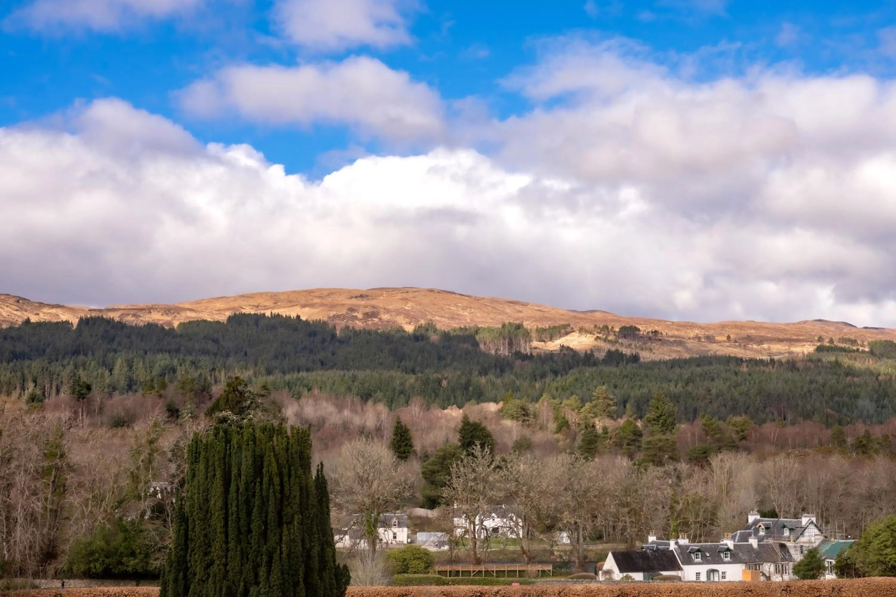 View (from property/room) in The Highland Club