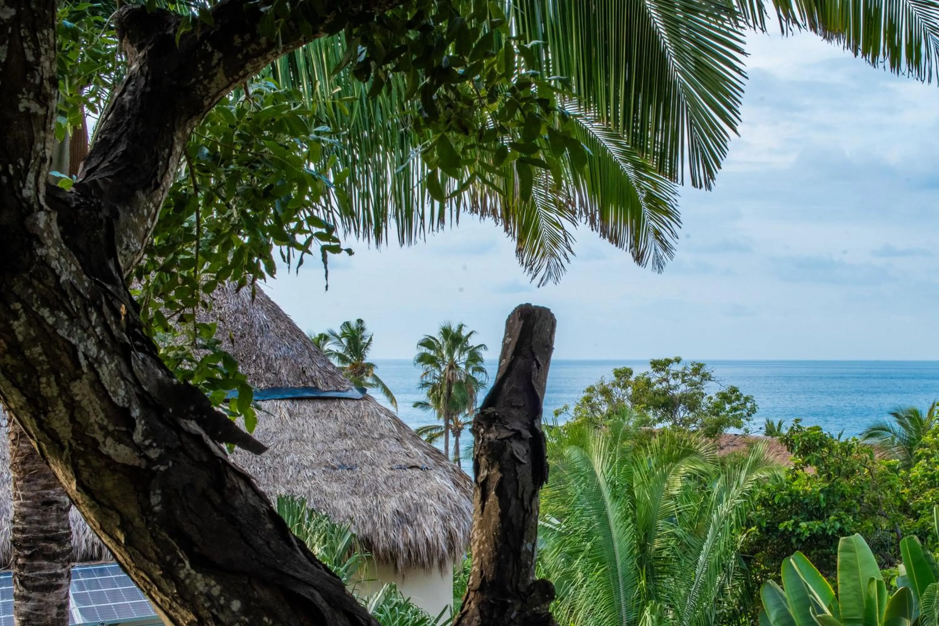 Witari Hotel Boutique