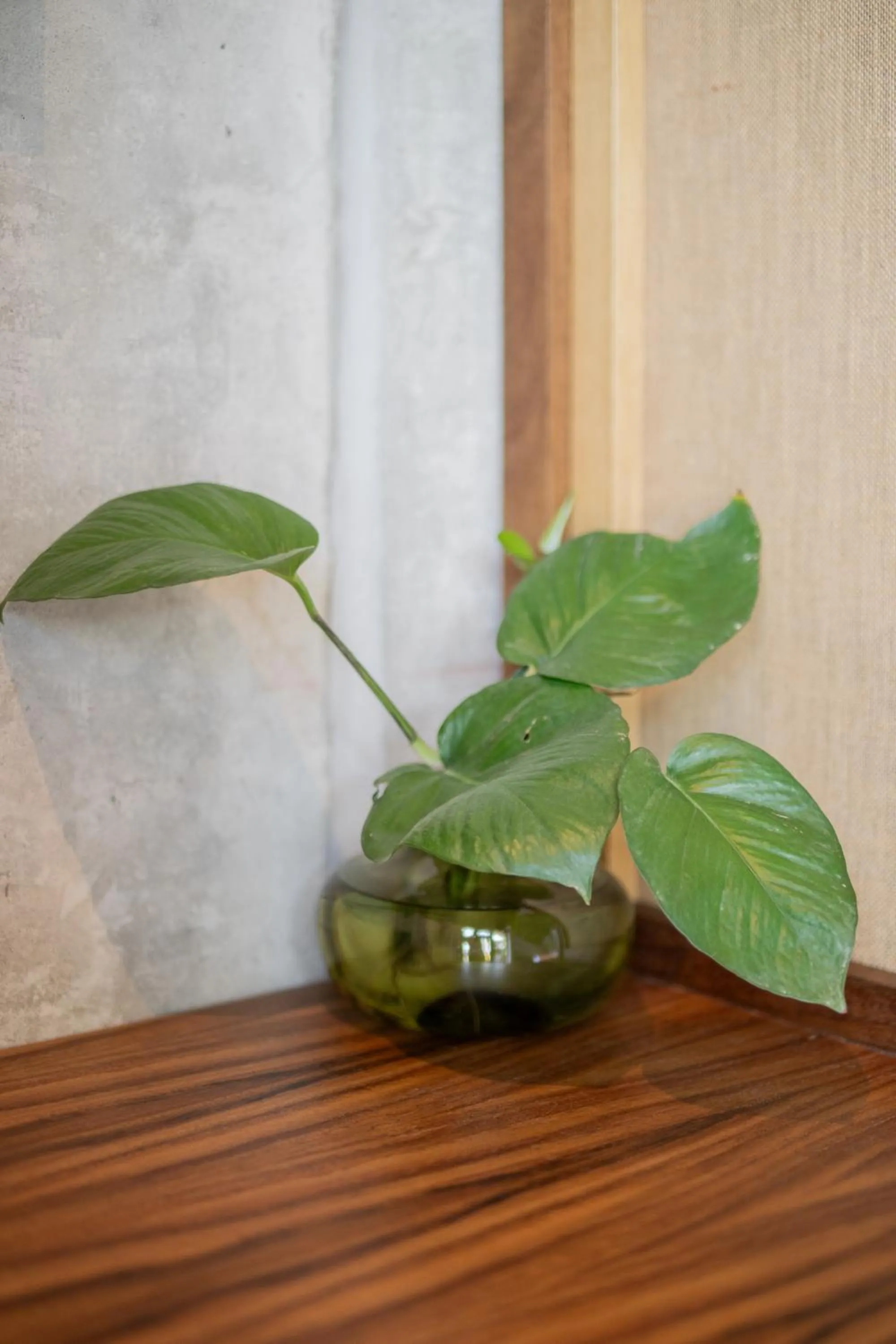 Witari Hotel Boutique