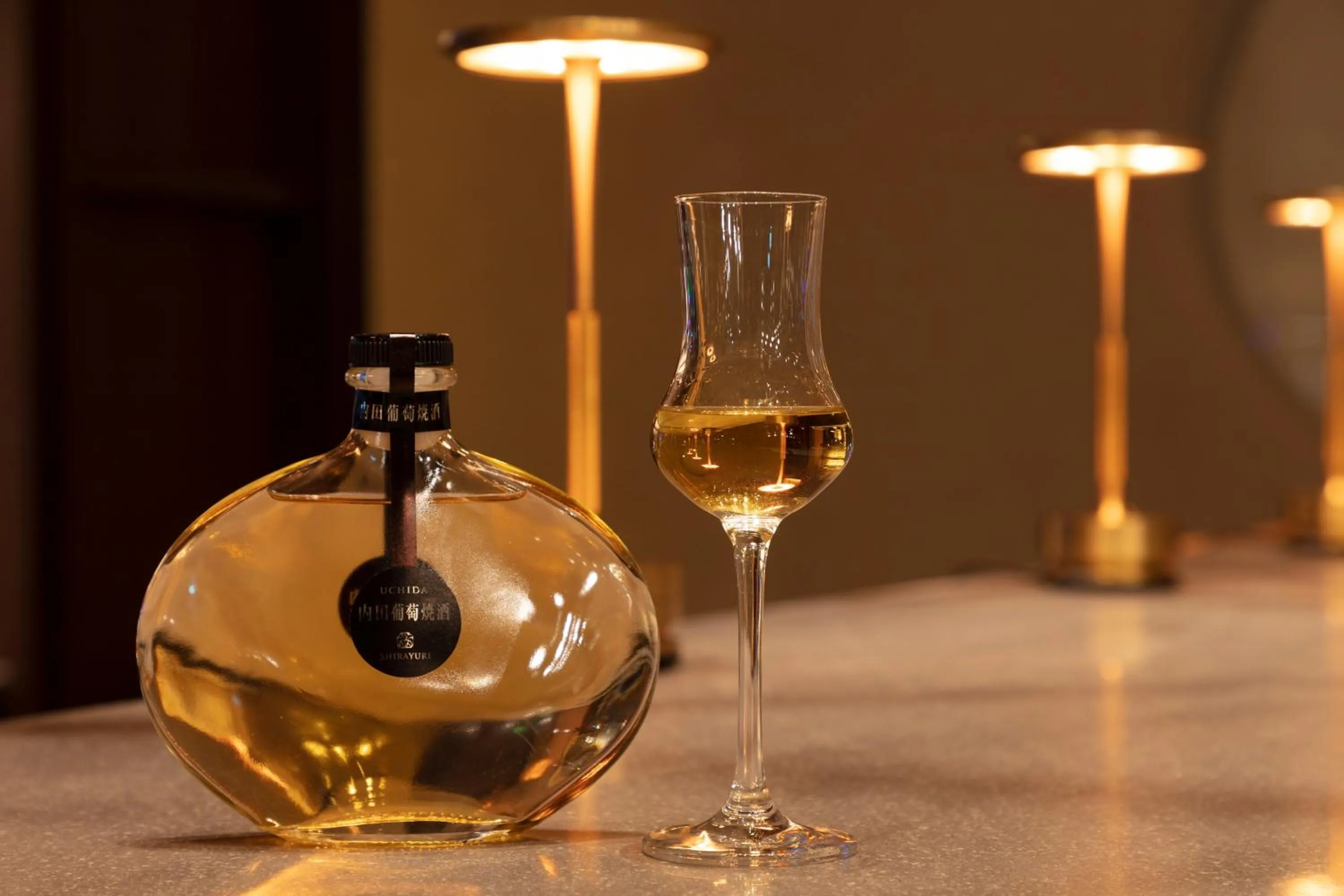 Lounge or bar in nol hakone myojindai