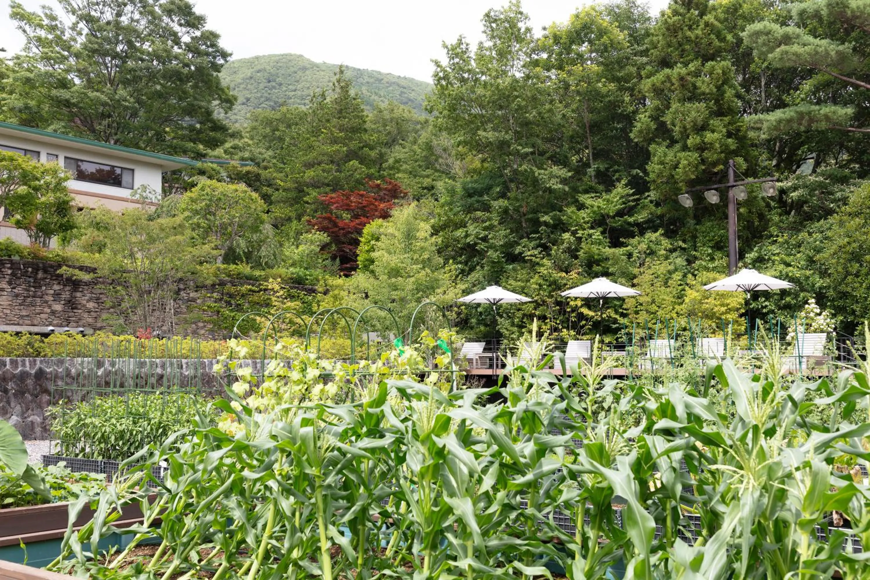 Balcony/Terrace in nol hakone myojindai
