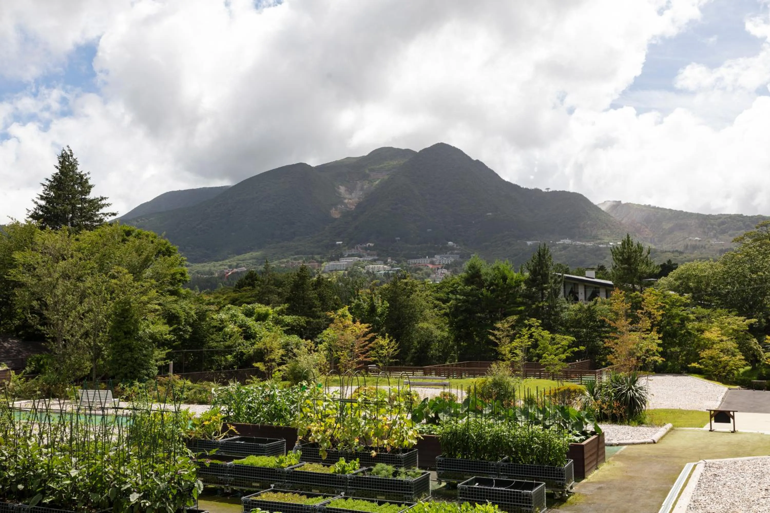 Balcony/Terrace in nol hakone myojindai
