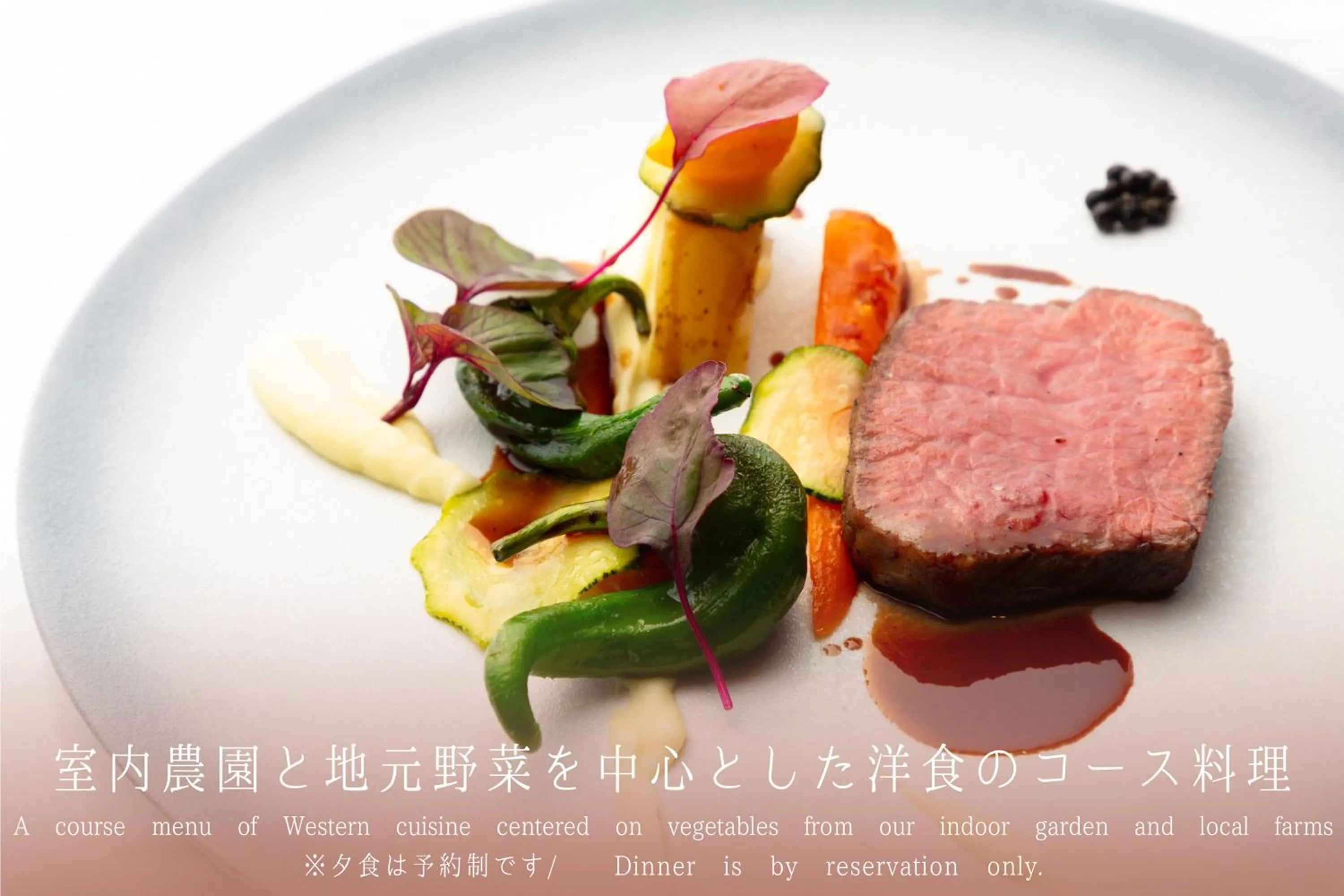 Dinner in nol hakone myojindai