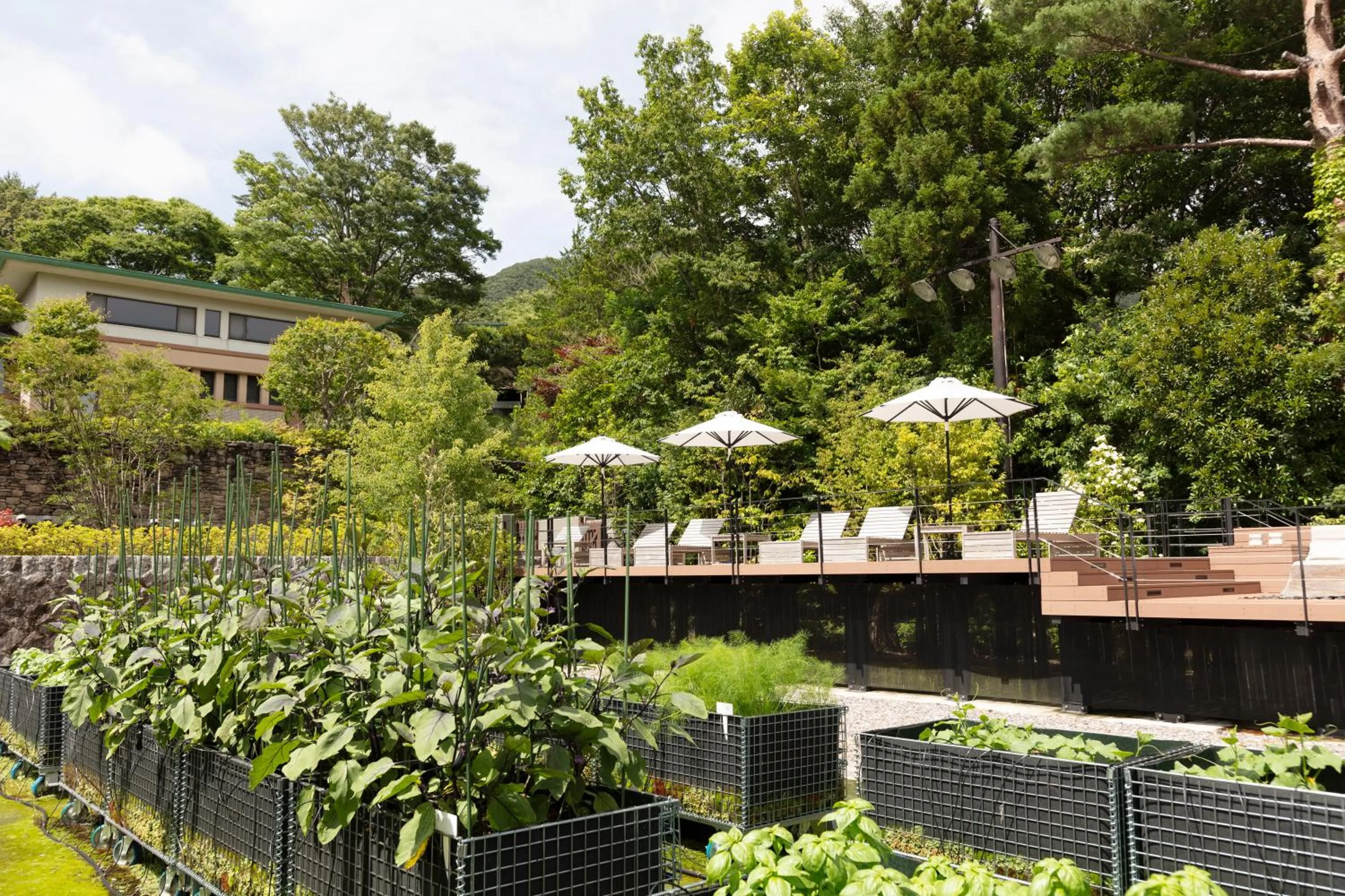Balcony/Terrace in nol hakone myojindai