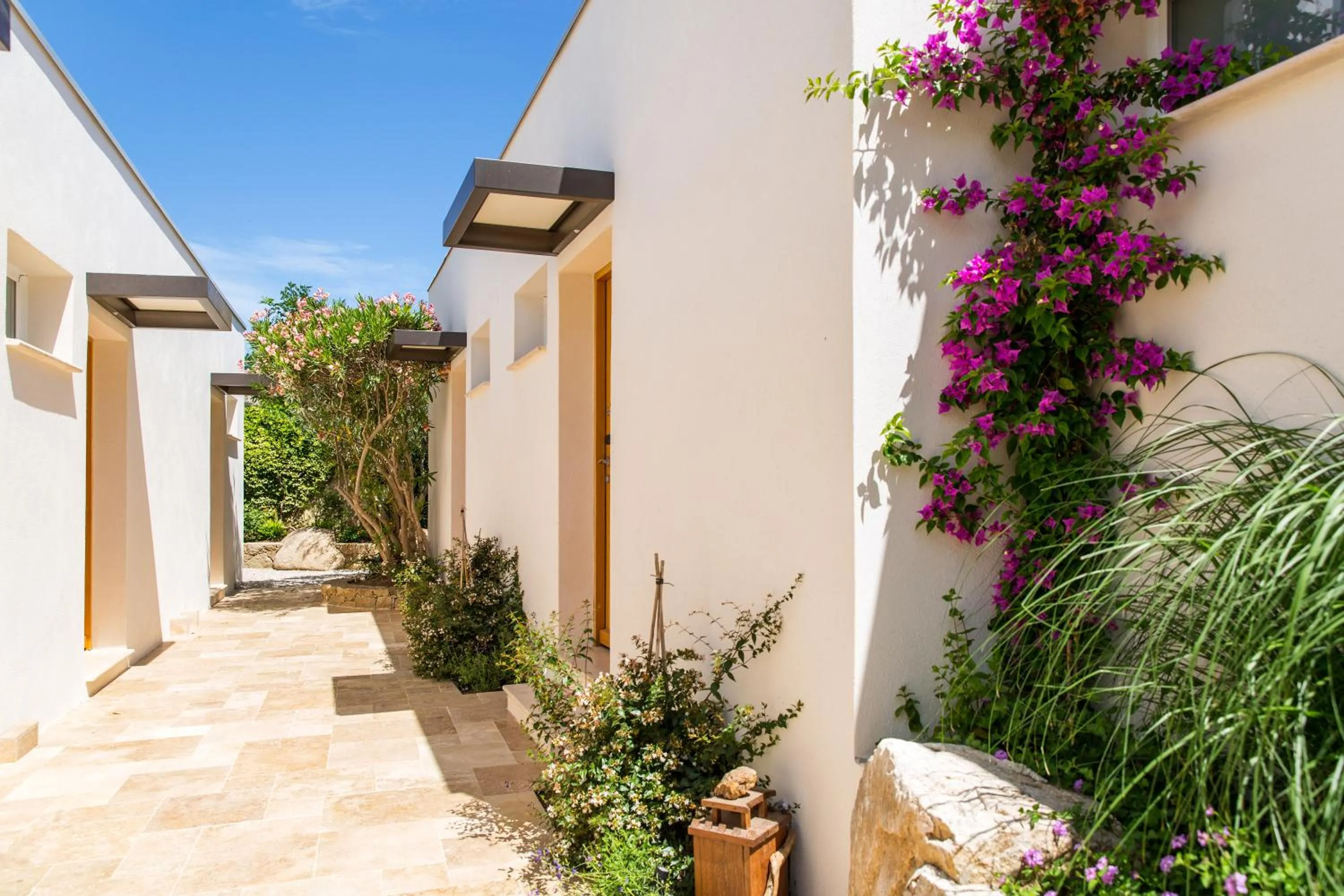 Garden in Hôtel La Caravelle