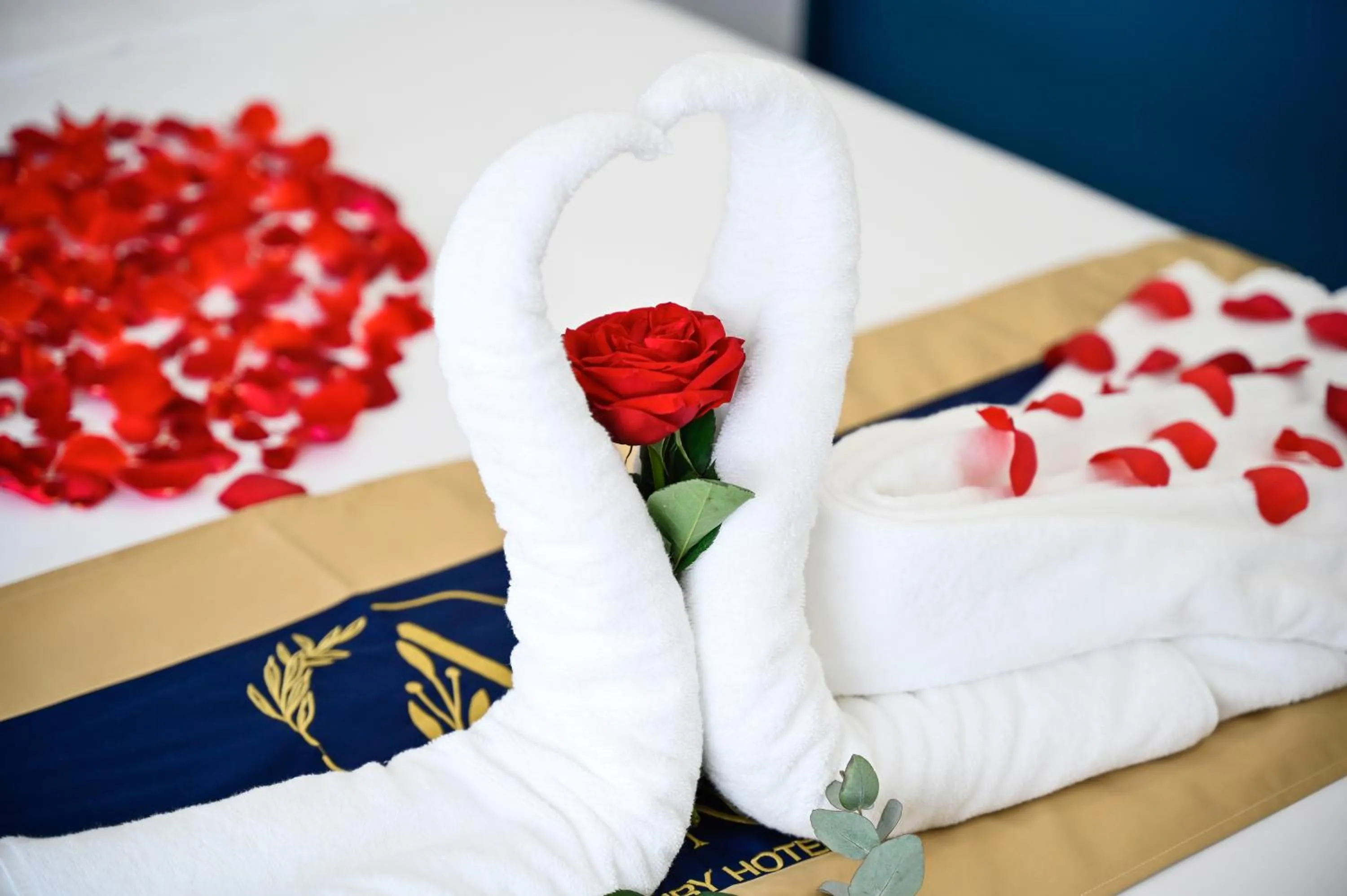 Bed in Arina Luxury Hotel - Vincom Tay Ninh