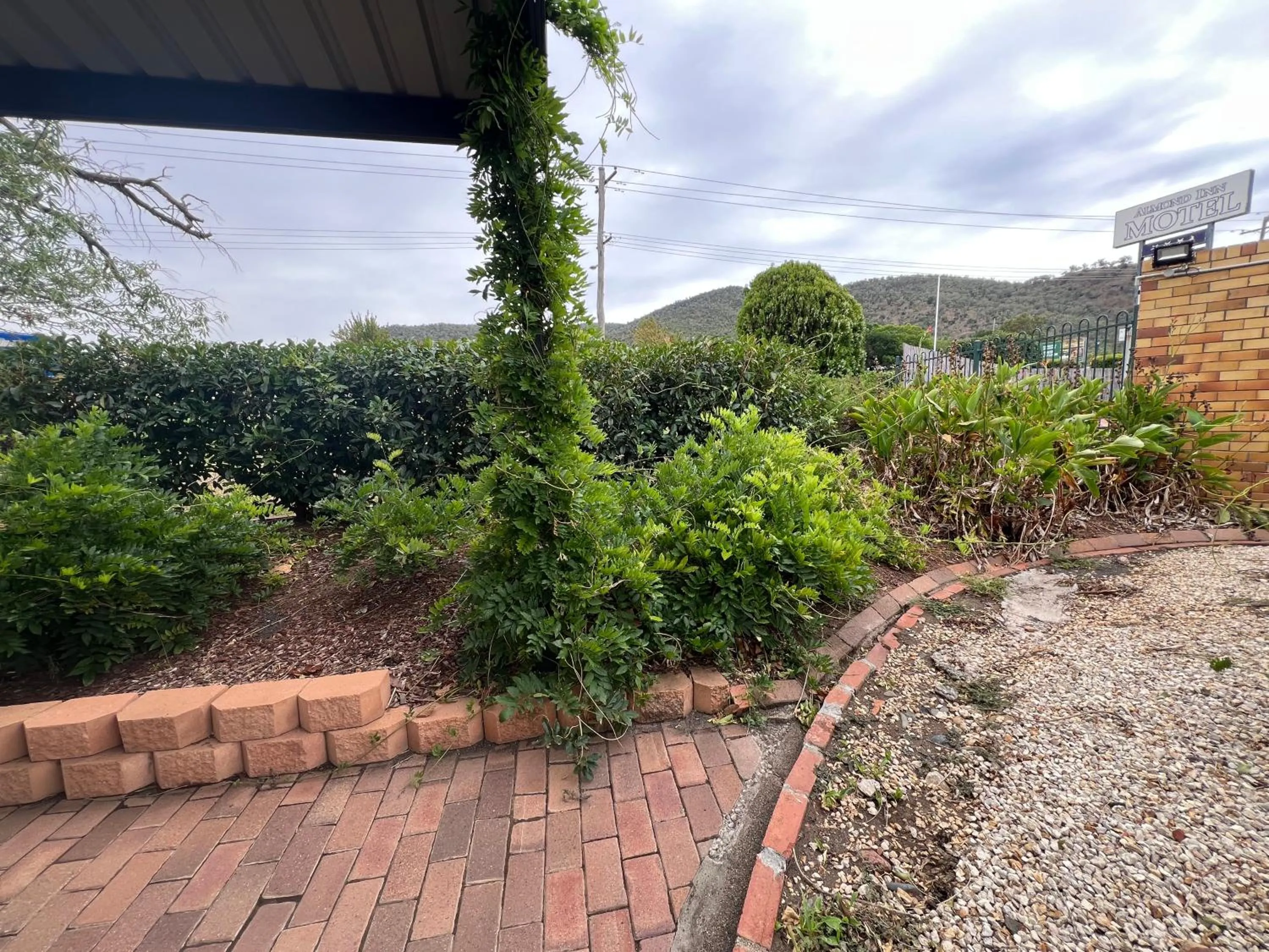 Garden in Almond Inn Motel