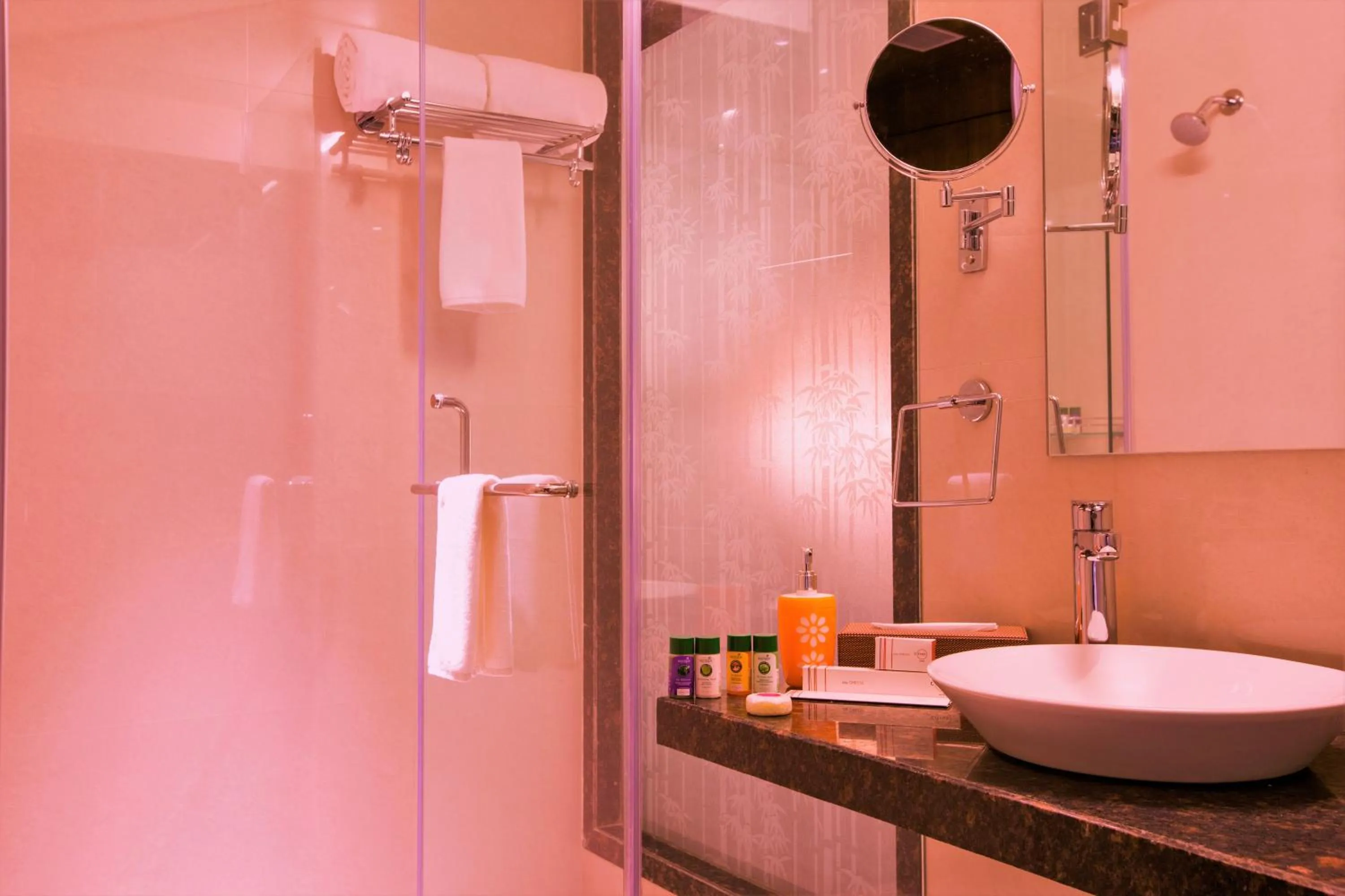 Bathroom in New Hotel Europa Inn