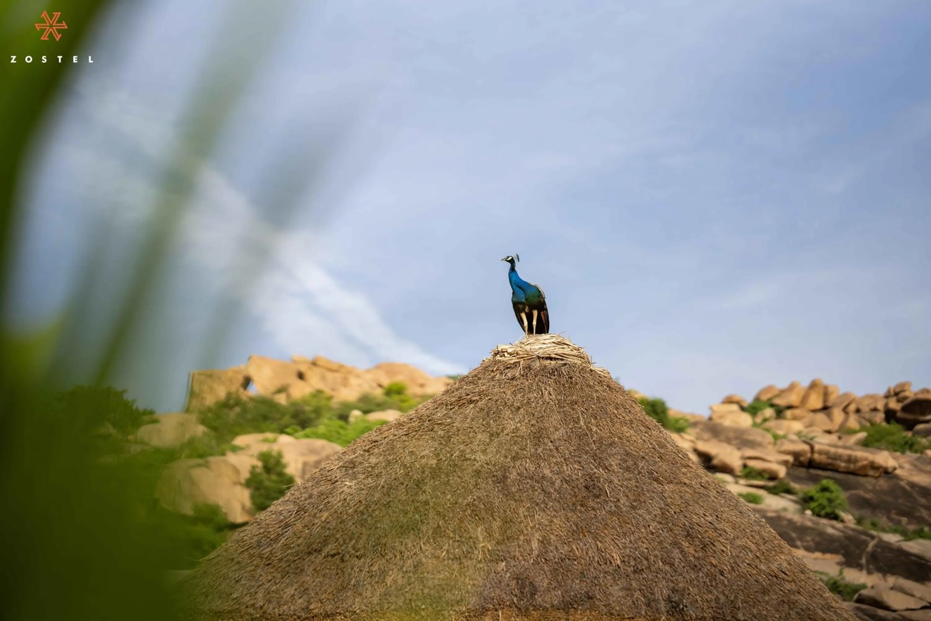Day in Zostel Hampi, Gangavathi