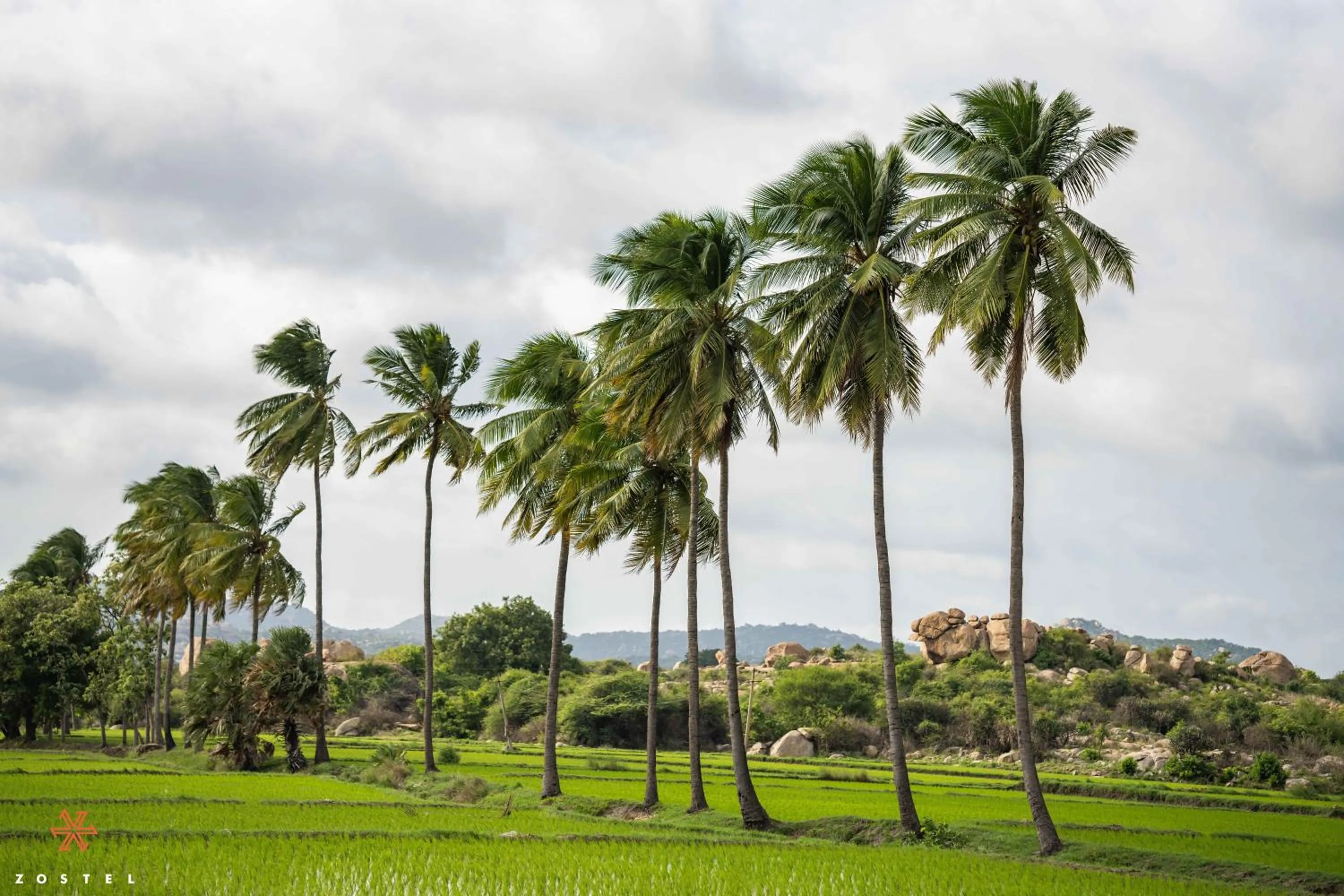Day in Zostel Hampi, Gangavathi