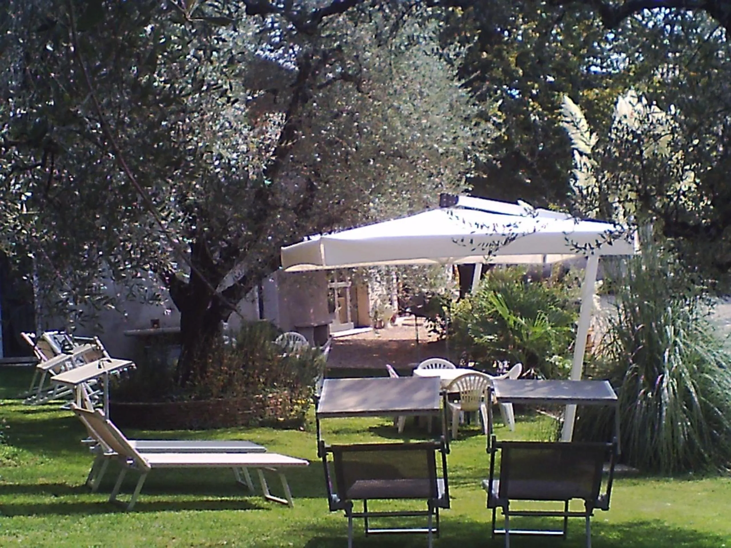 Garden in Agriturismo Della Pieve