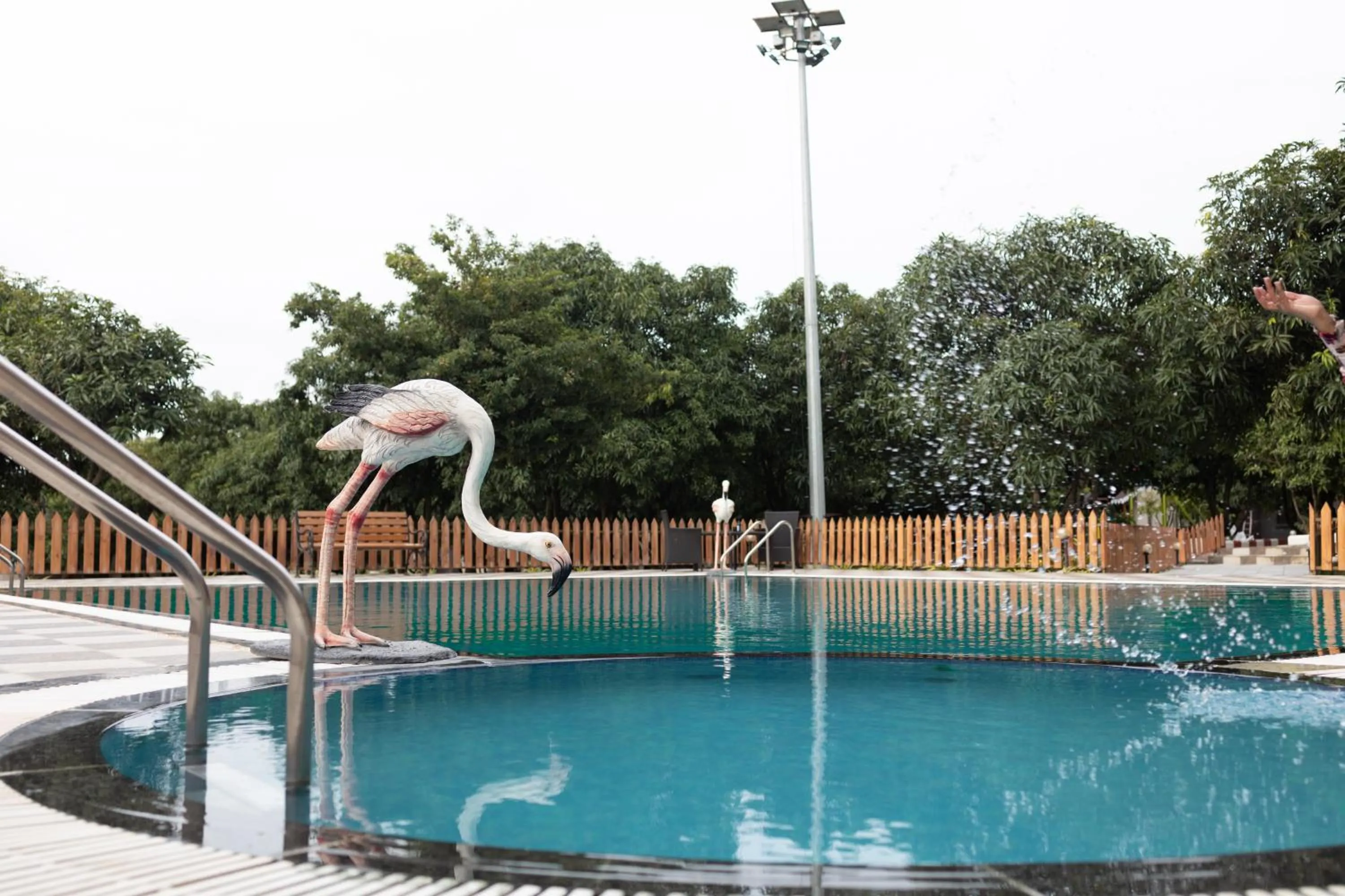 Swimming pool in Freesia Resort by Express Inn