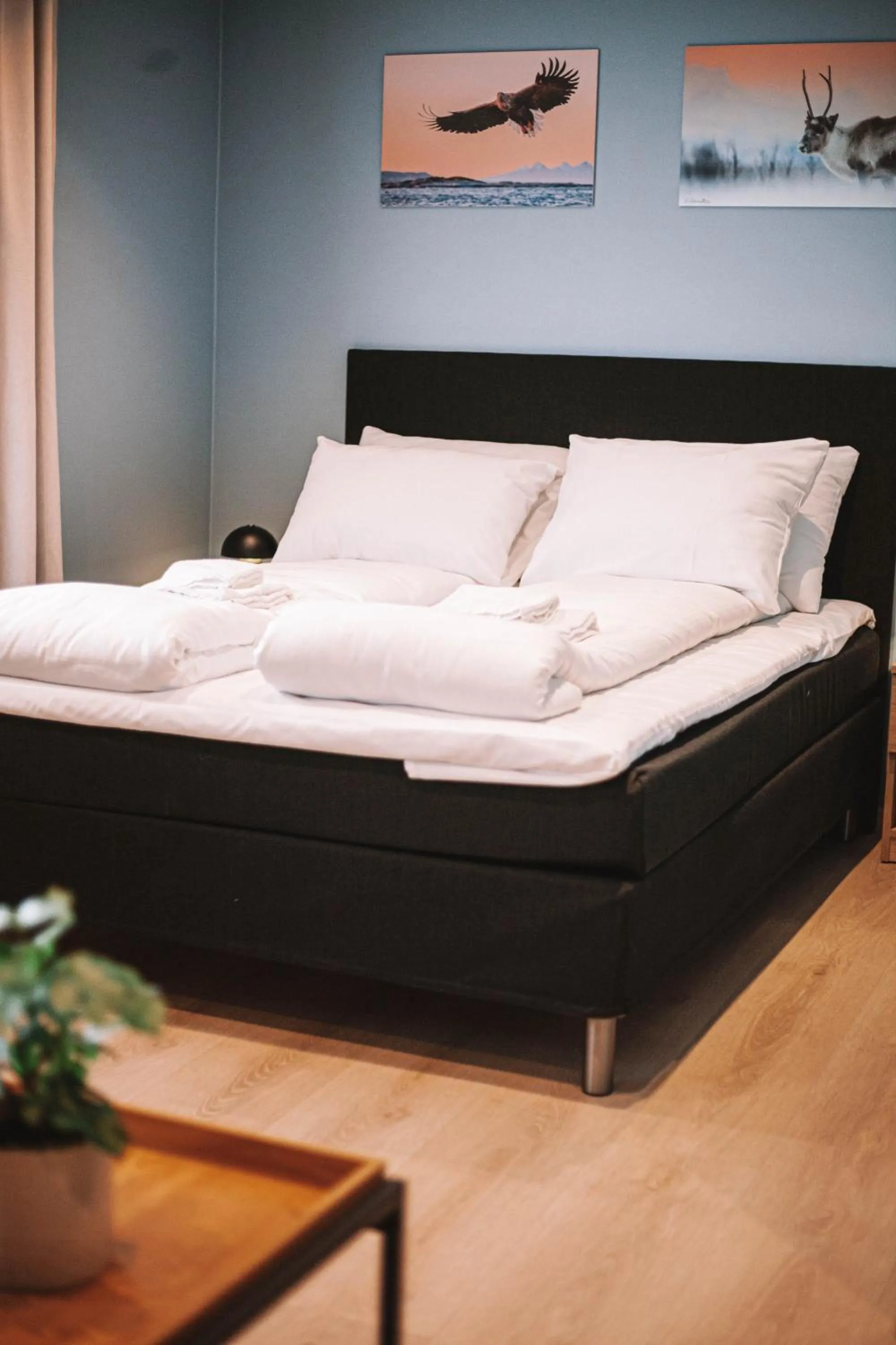 Bed in Lødingen Brygge