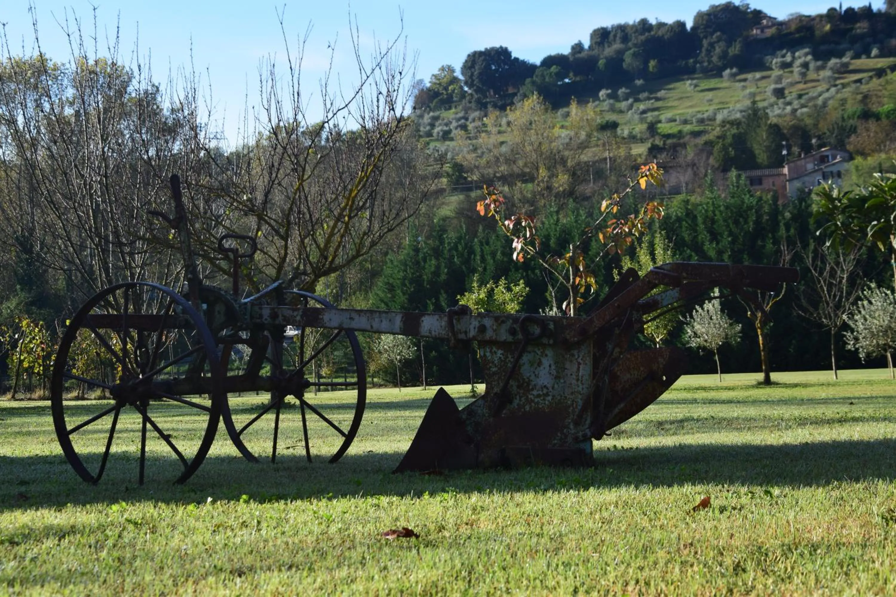 Garden in Podere Il Pero