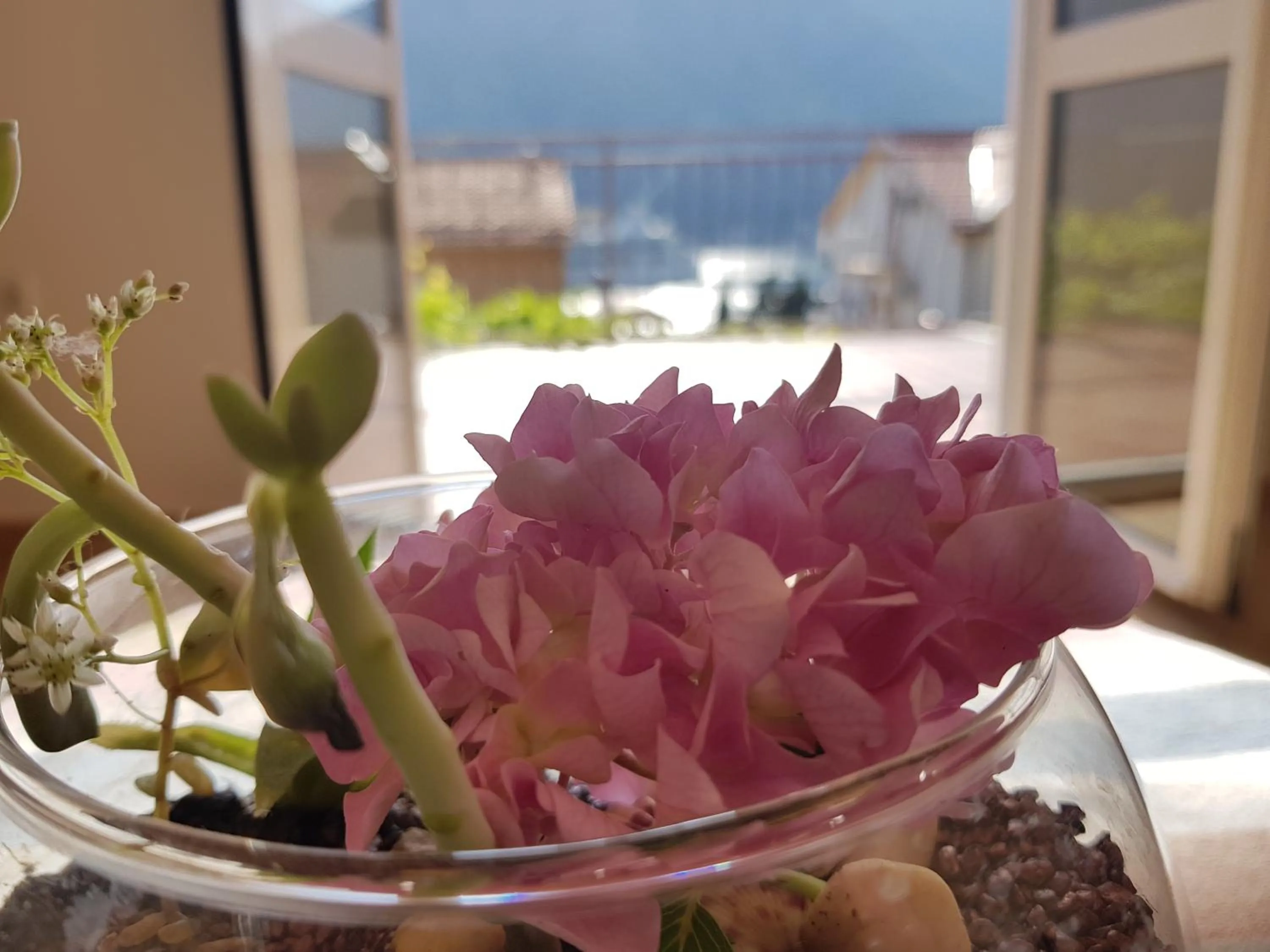 Sea view in Apartments Lazarević