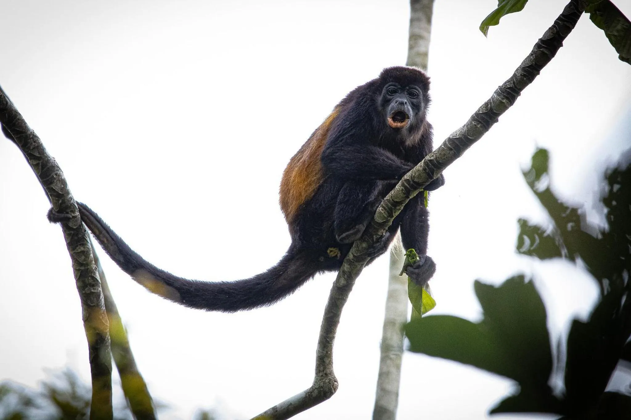 Natural landscape in Serenity Hotel & Villas