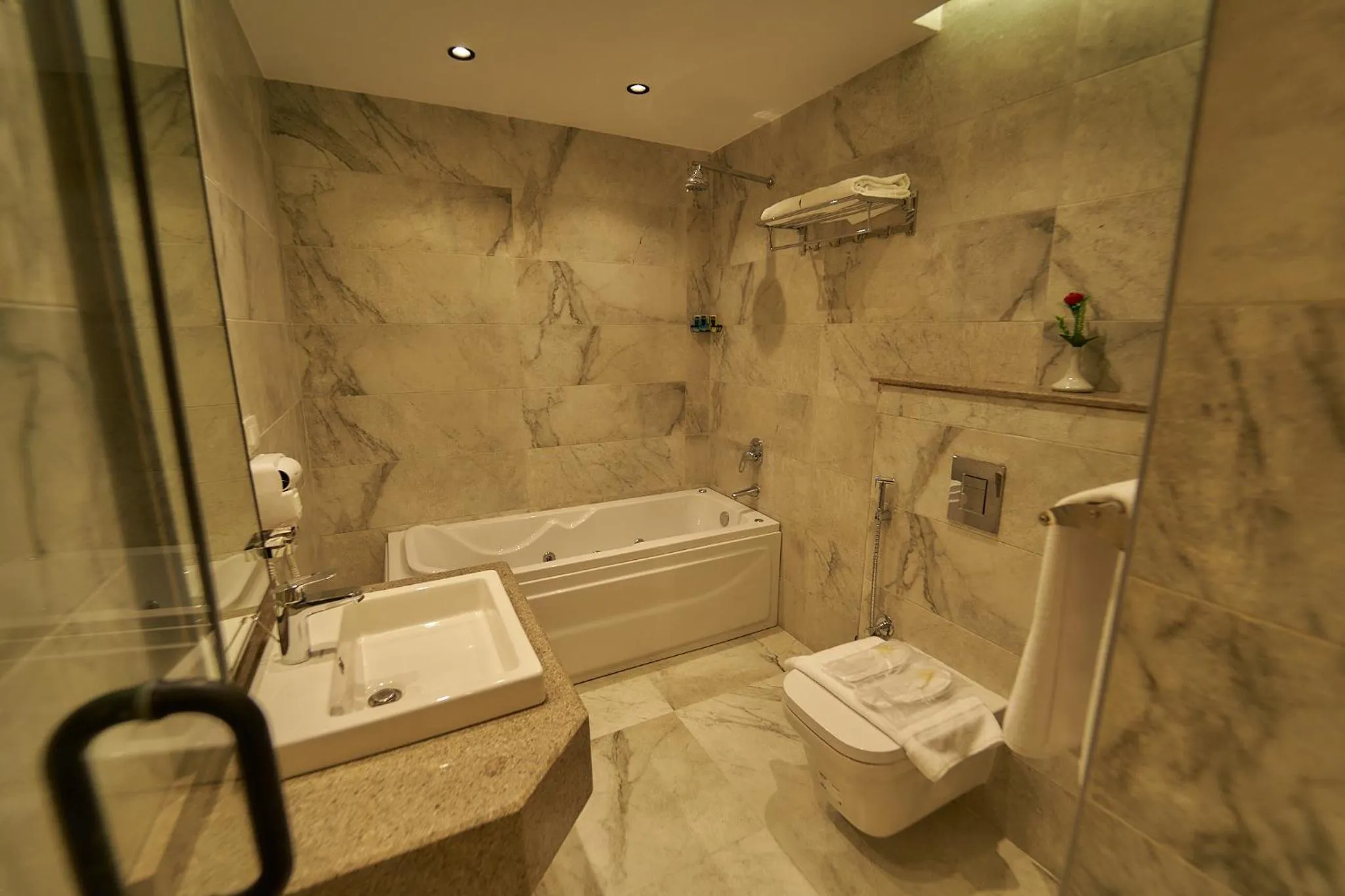 Toilet in Gold's Pyramids Hotel