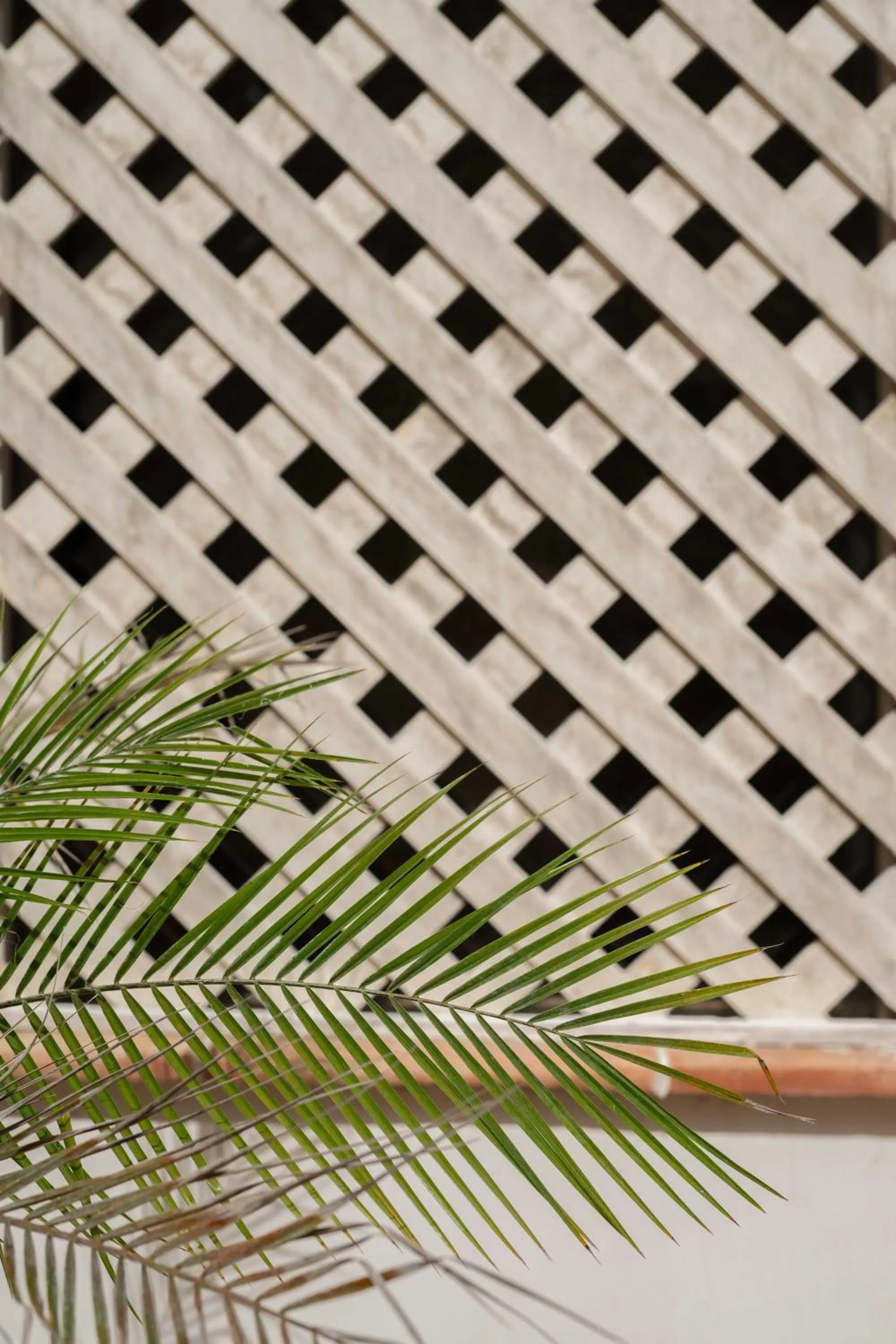 Anat Tantric Boutique Hotel