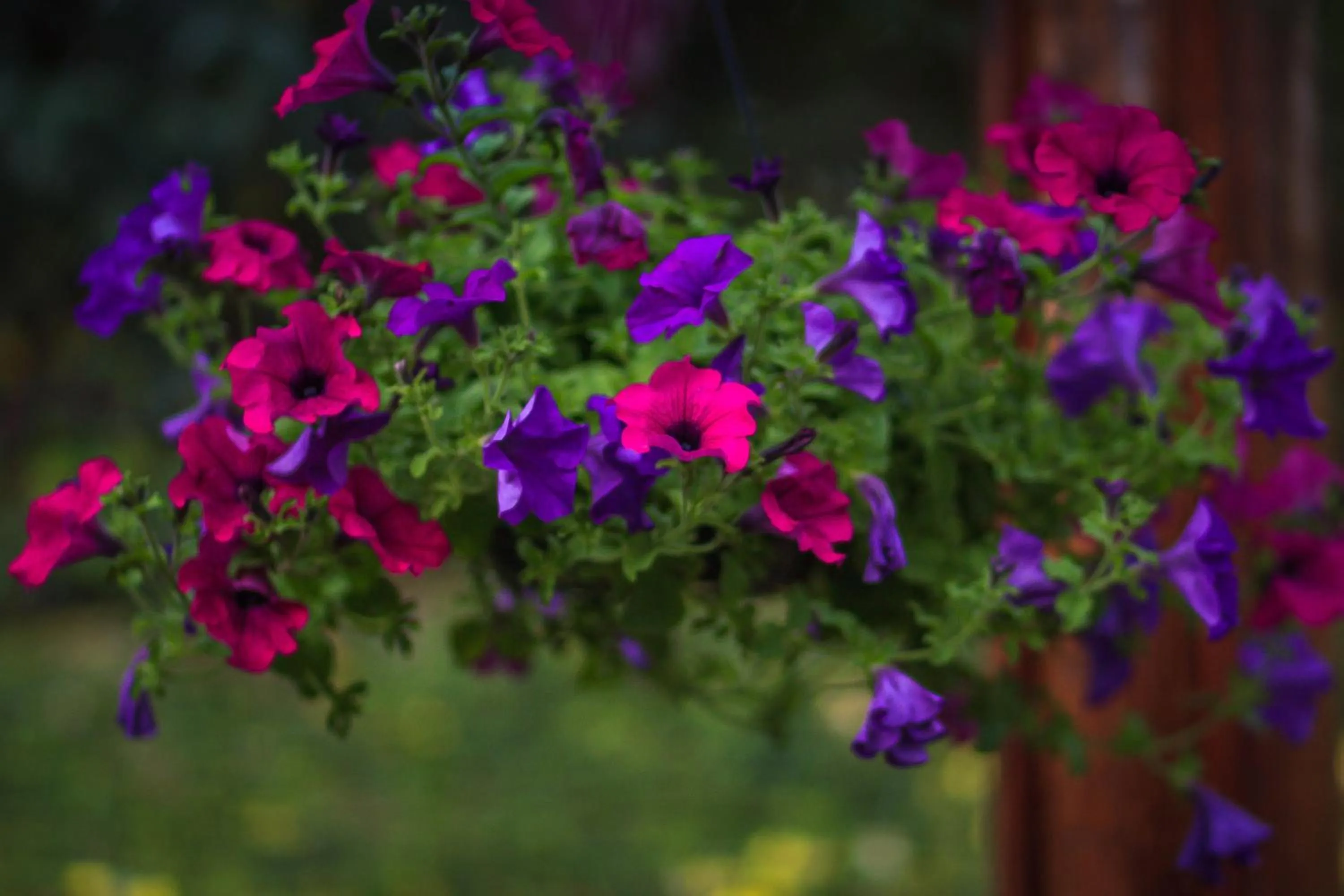 Decorative detail in Carballo Hotel & Spa