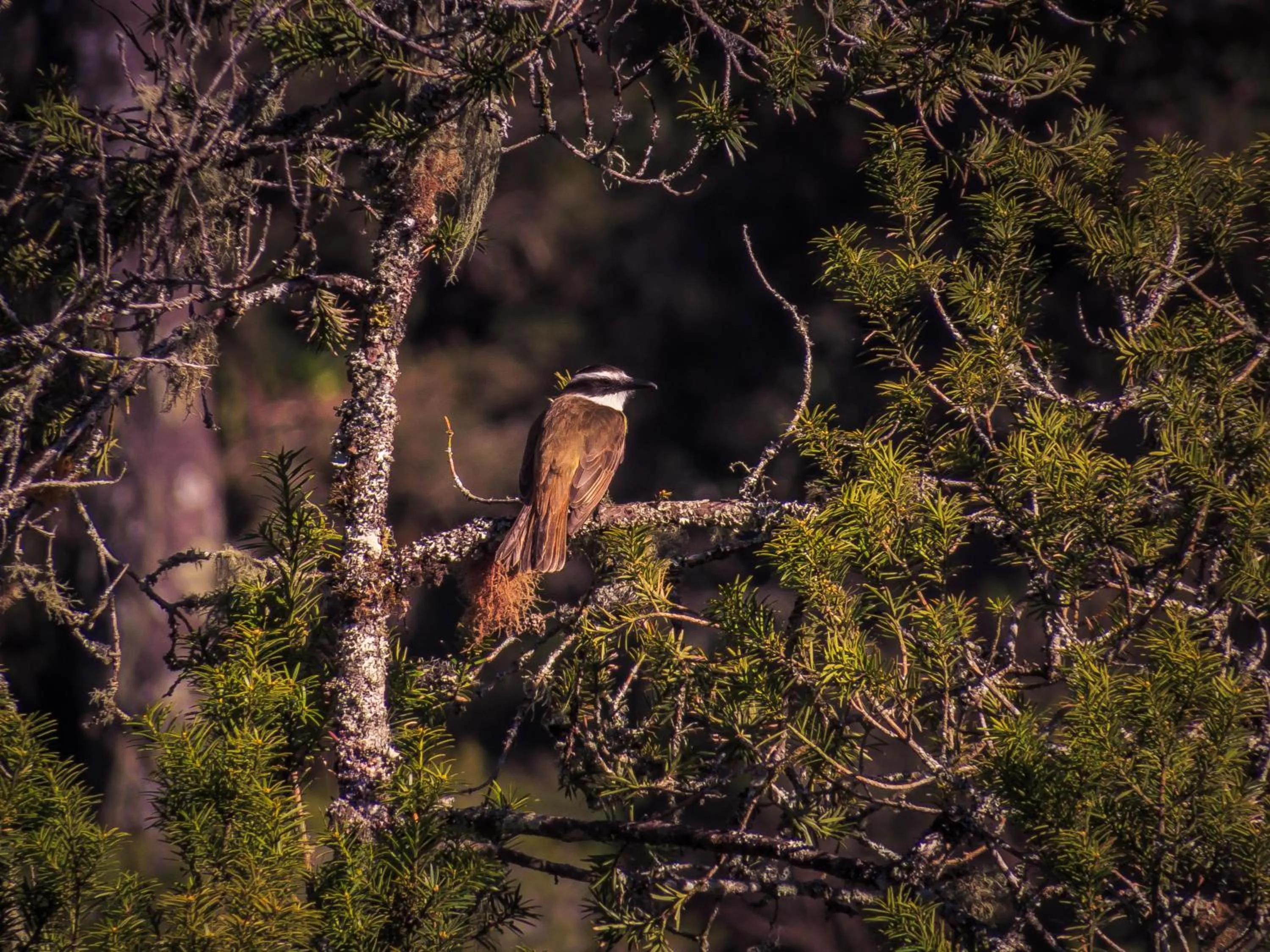 Natural landscape in Carballo Hotel & Spa