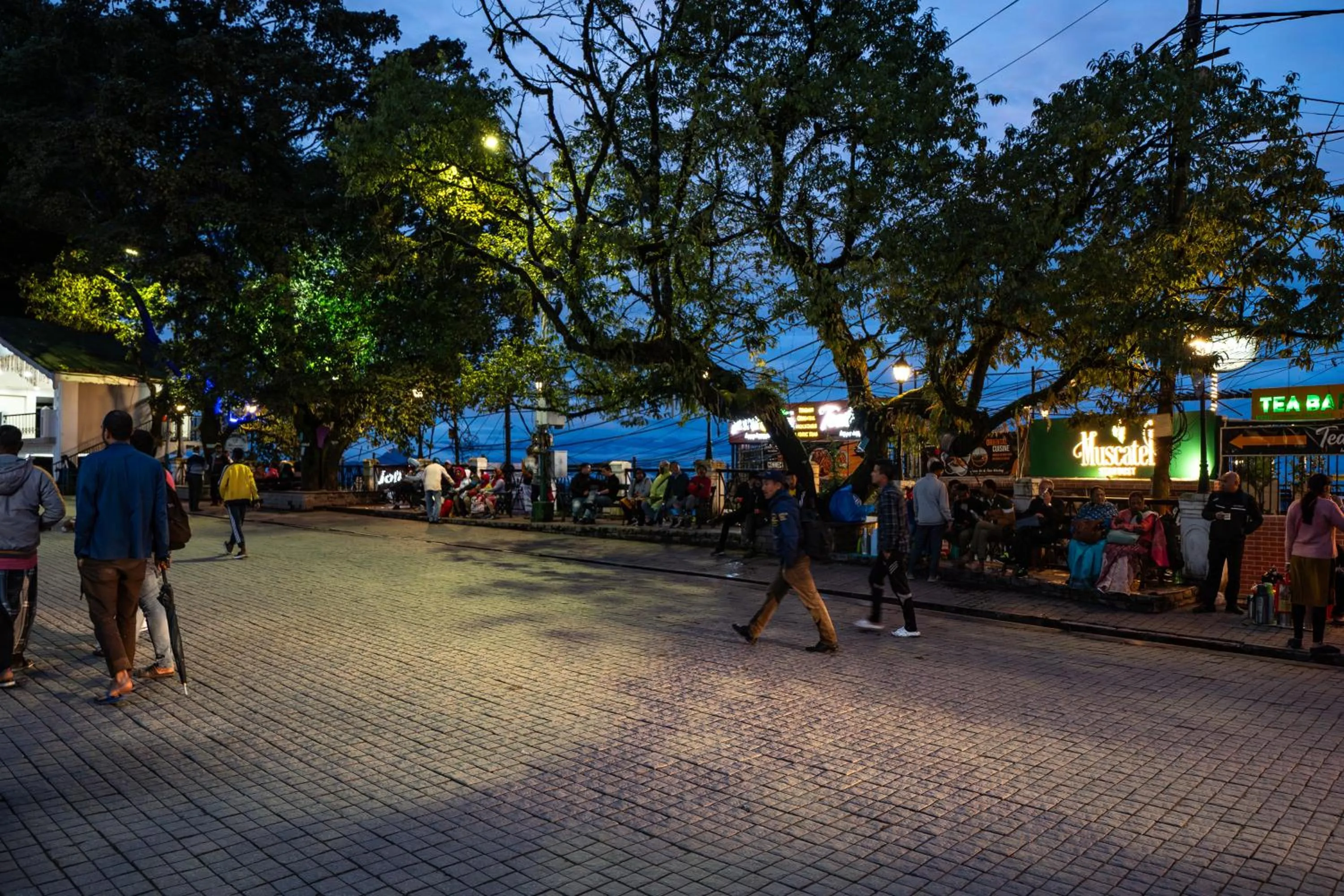 Property building in Muscatel Stardust - Chowrasta Mall Road