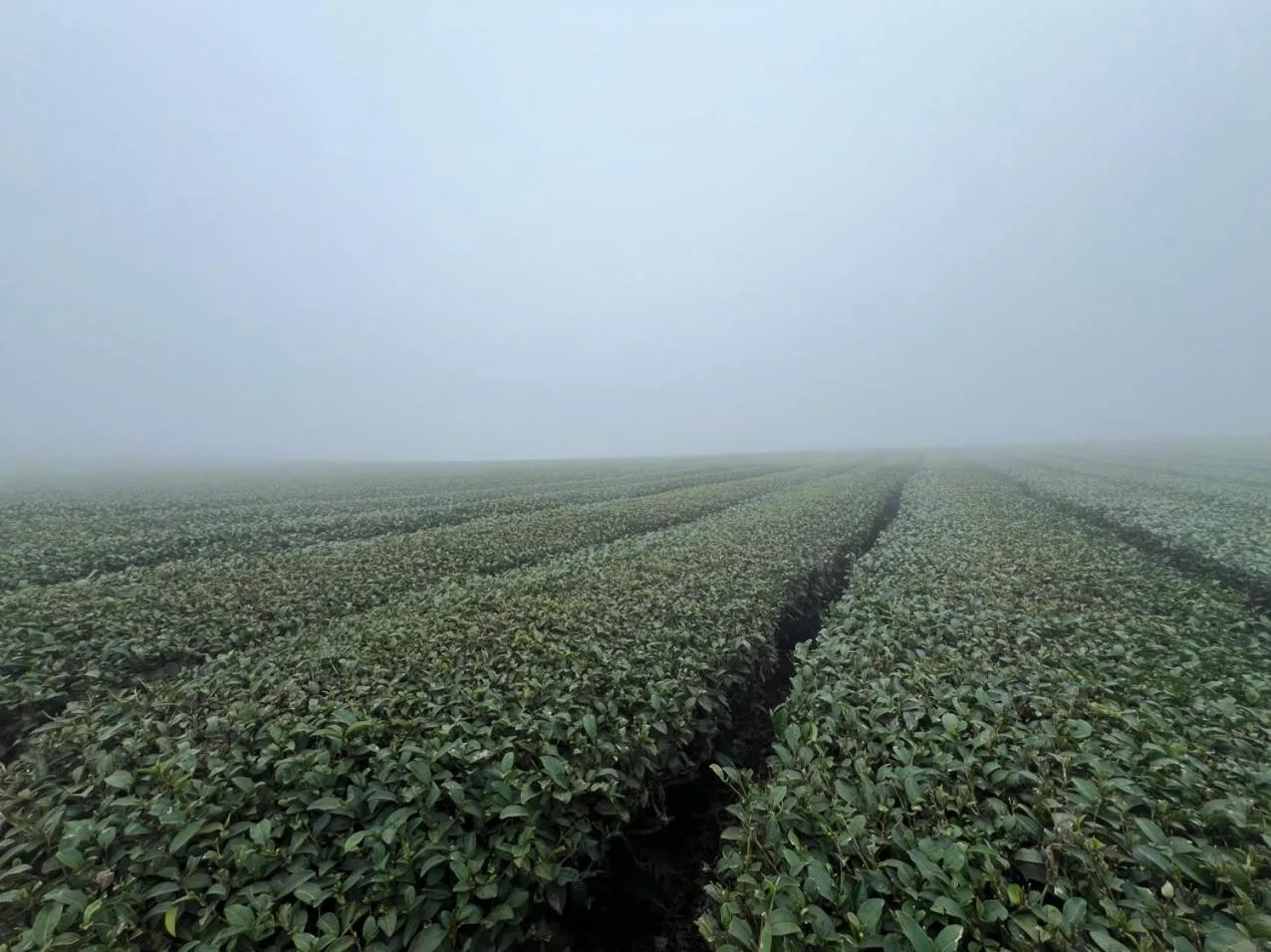 Happy House Moc Chau
