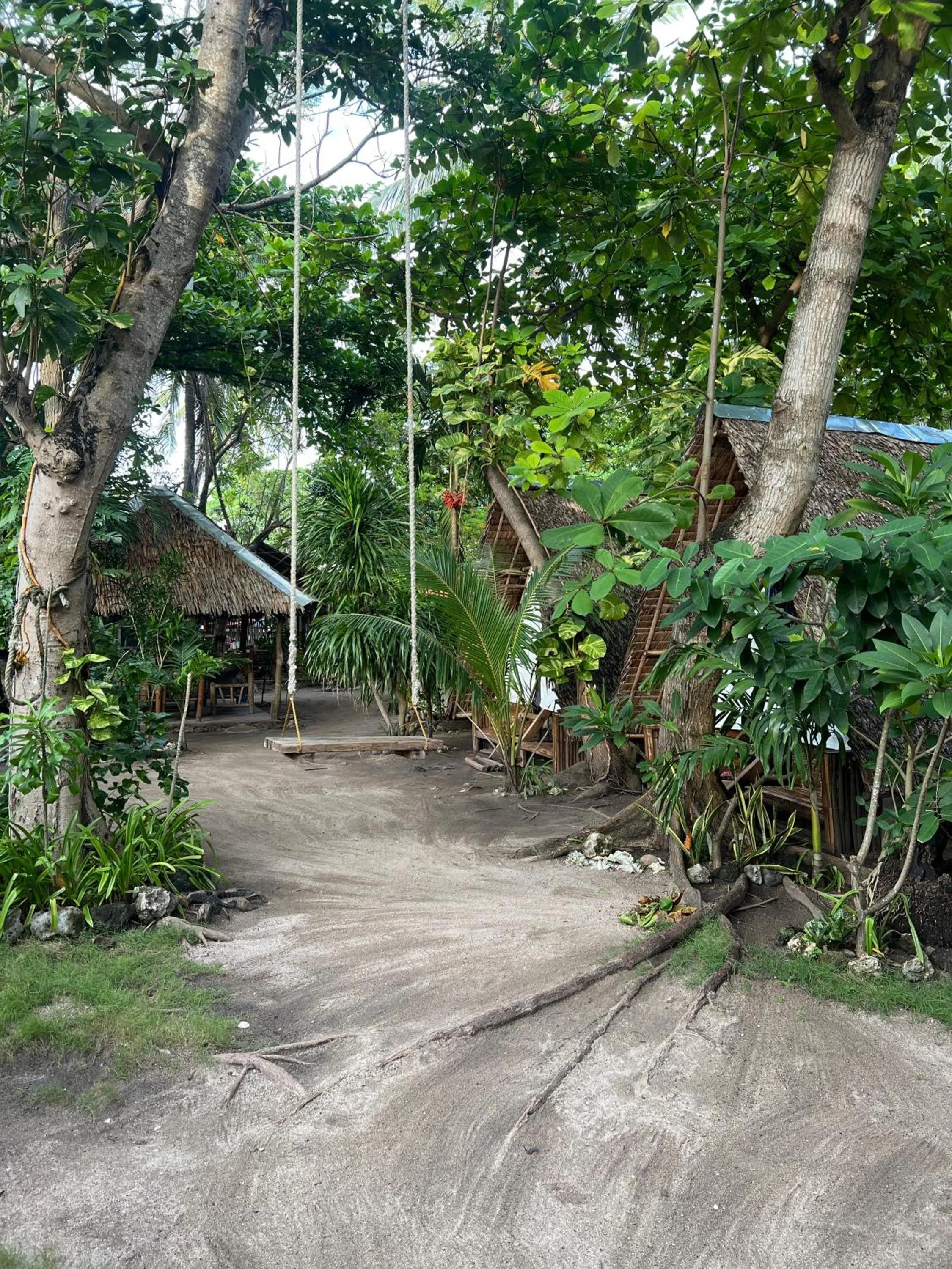 Georgia's Neverland Hostel