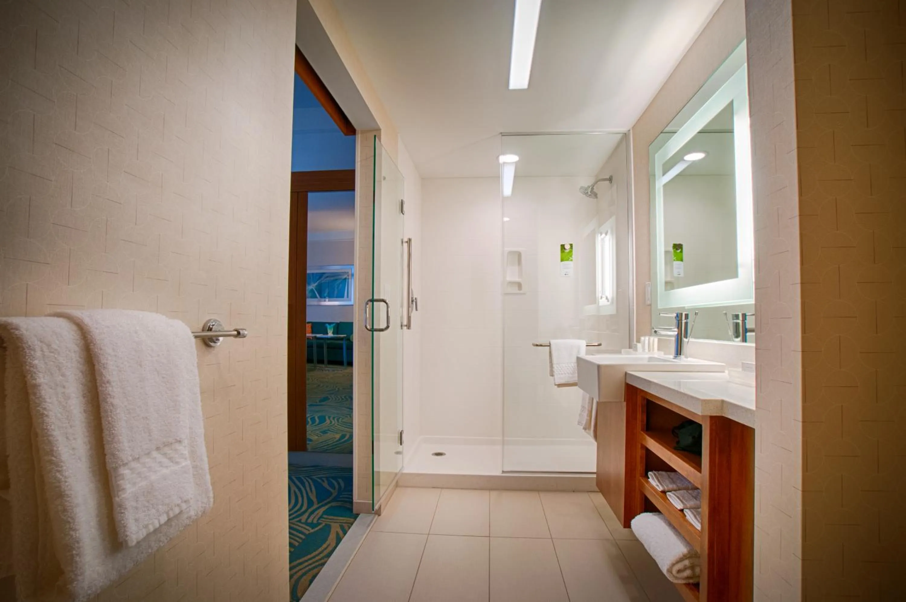 Shower in SpringHill Suites by Marriott Canton
