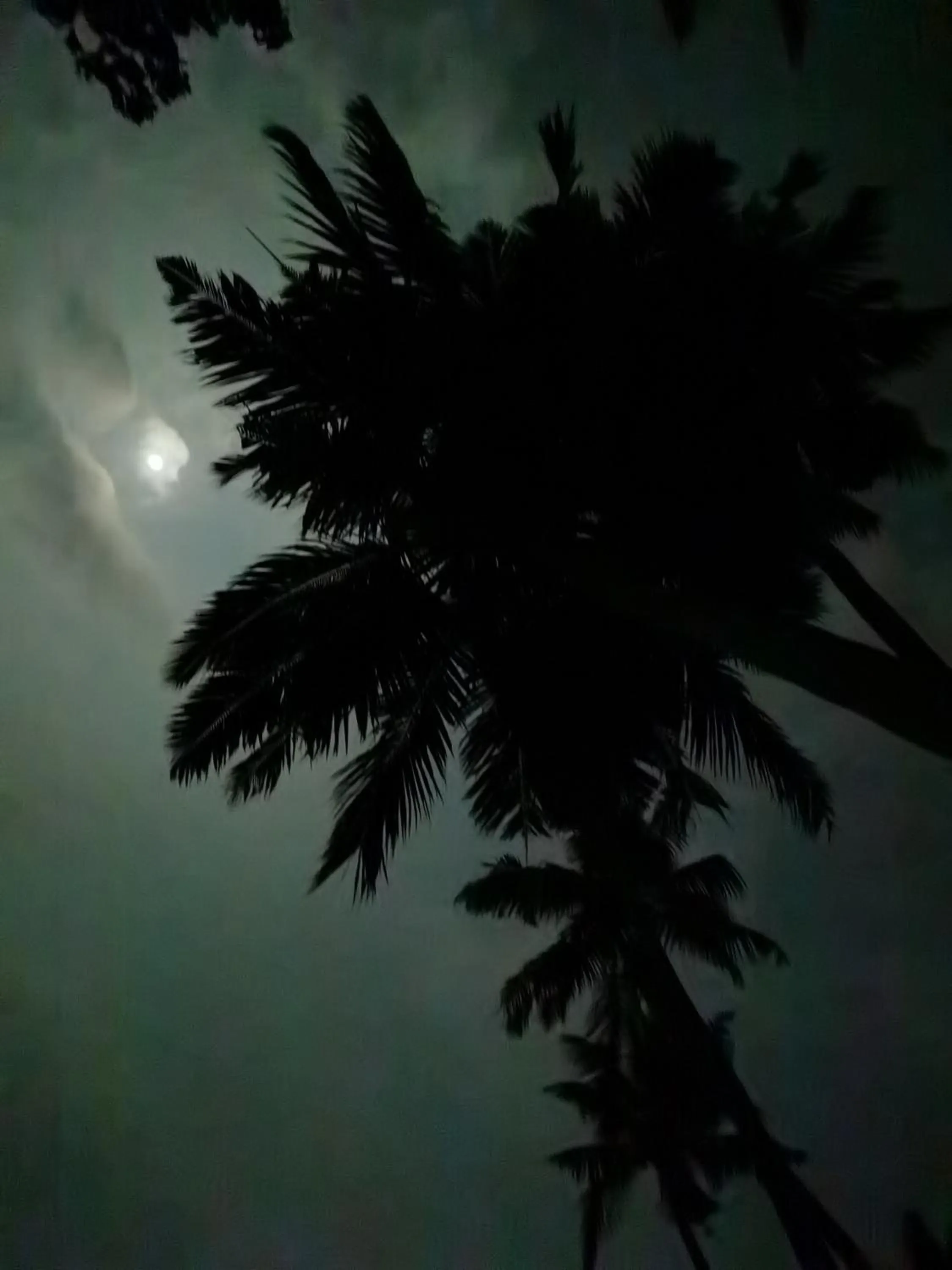 SANTA MARIA HOSTEL MUNROE ISLAND