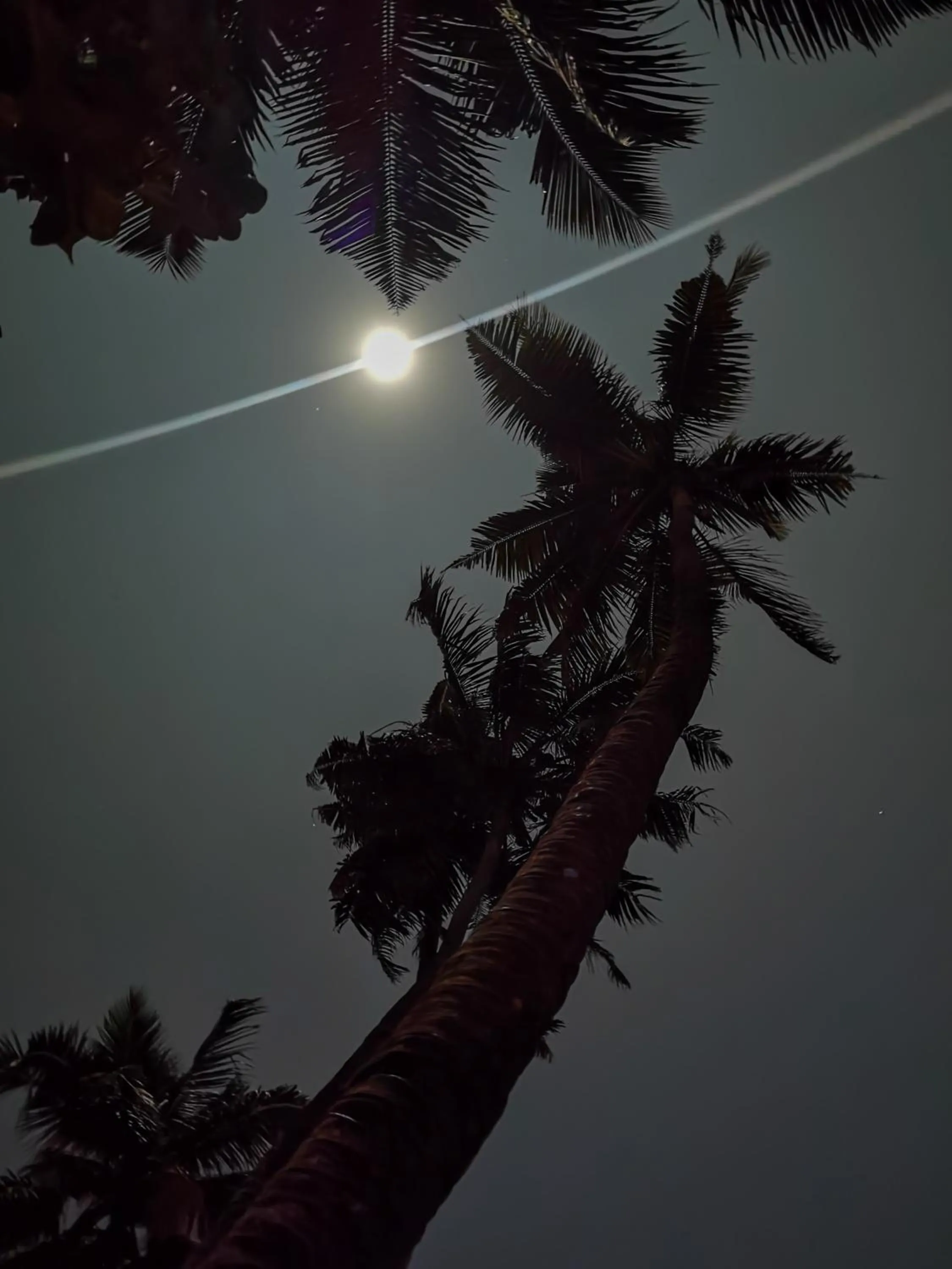 SANTA MARIA HOSTEL MUNROE ISLAND